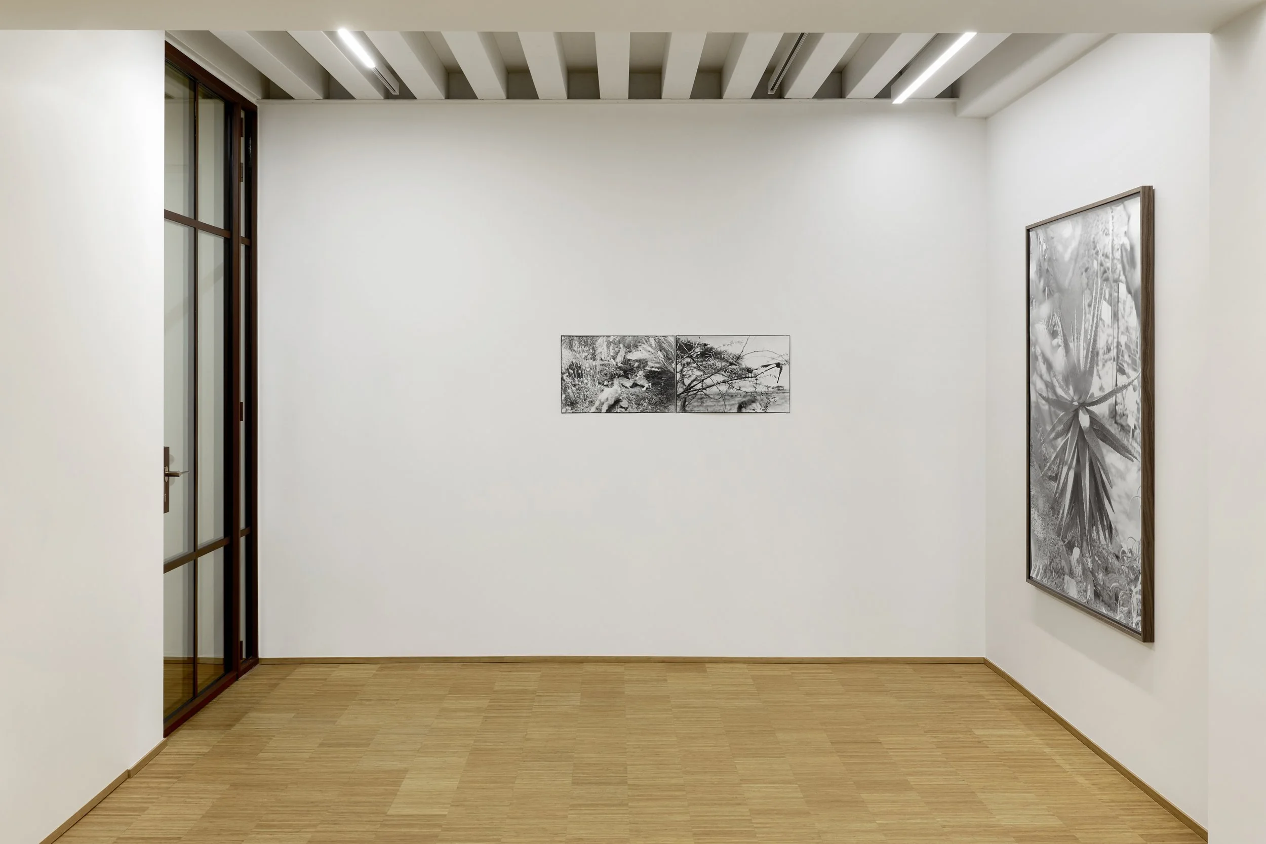   True Reality , Fondazione Elpis, Milan, 2026  Photo: Alto Piano Studio 