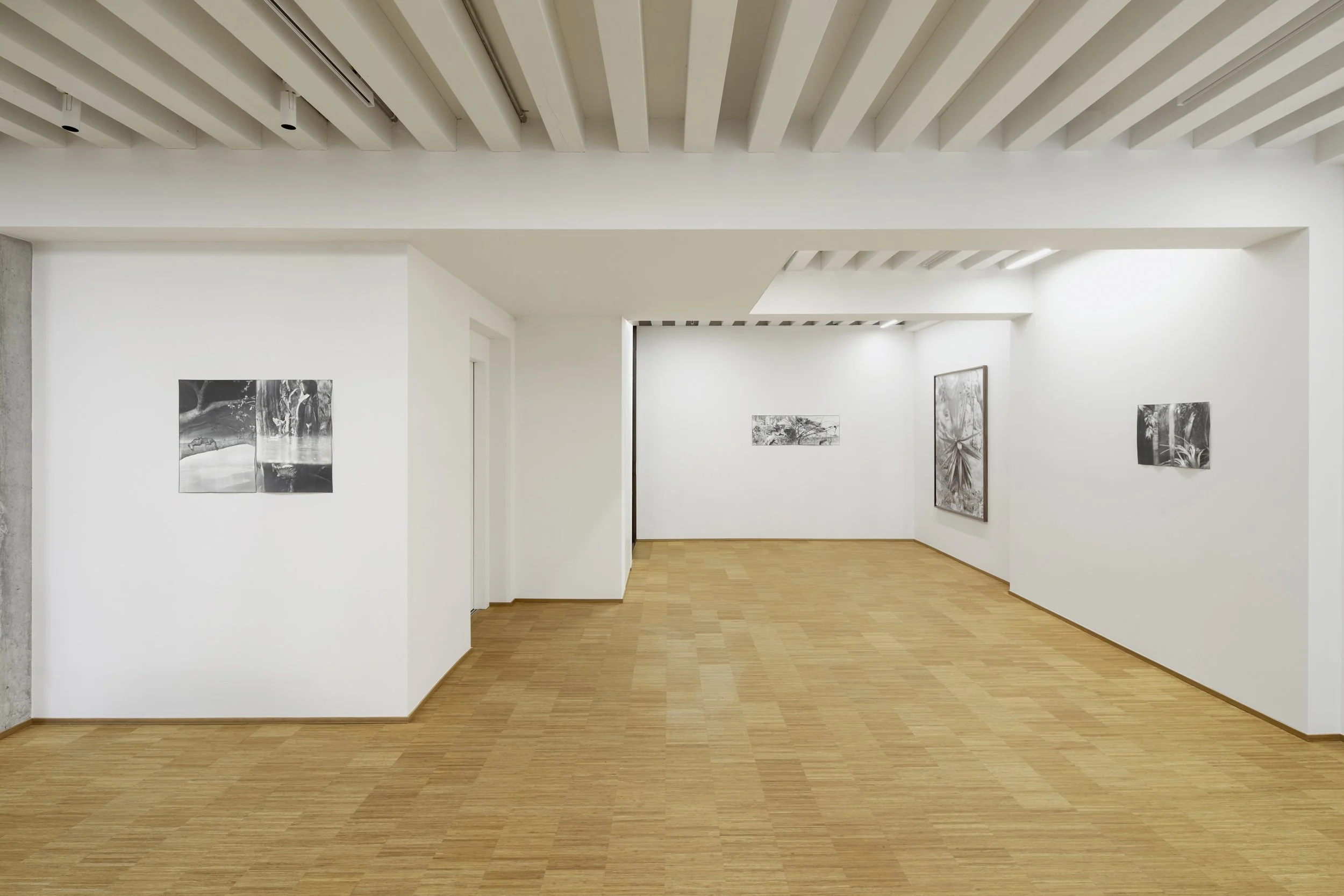   True Reality , Fondazione Elpis, Milan, 2026  Photo: Alto Piano Studio 