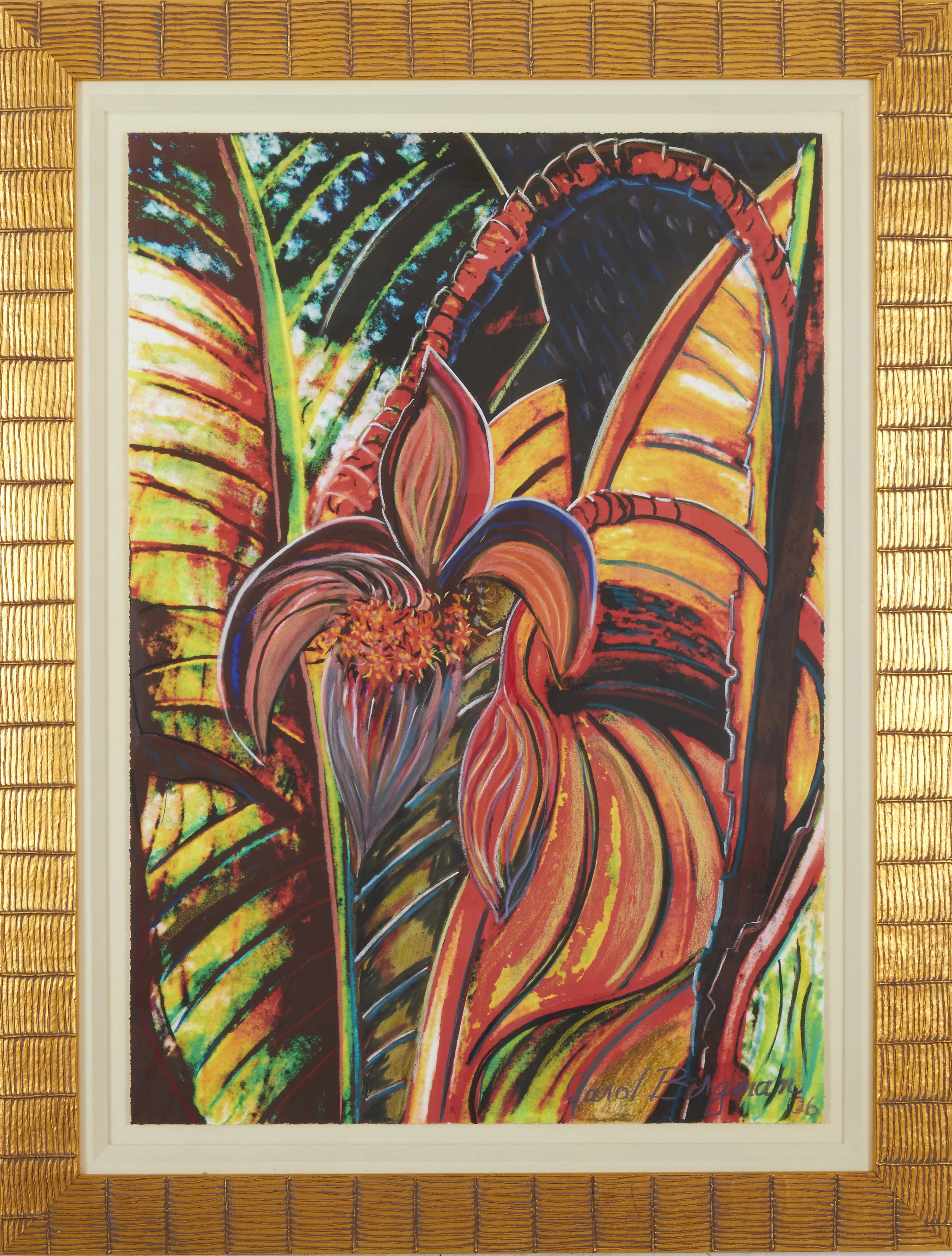 Picasso in Hawaii 3.jpg