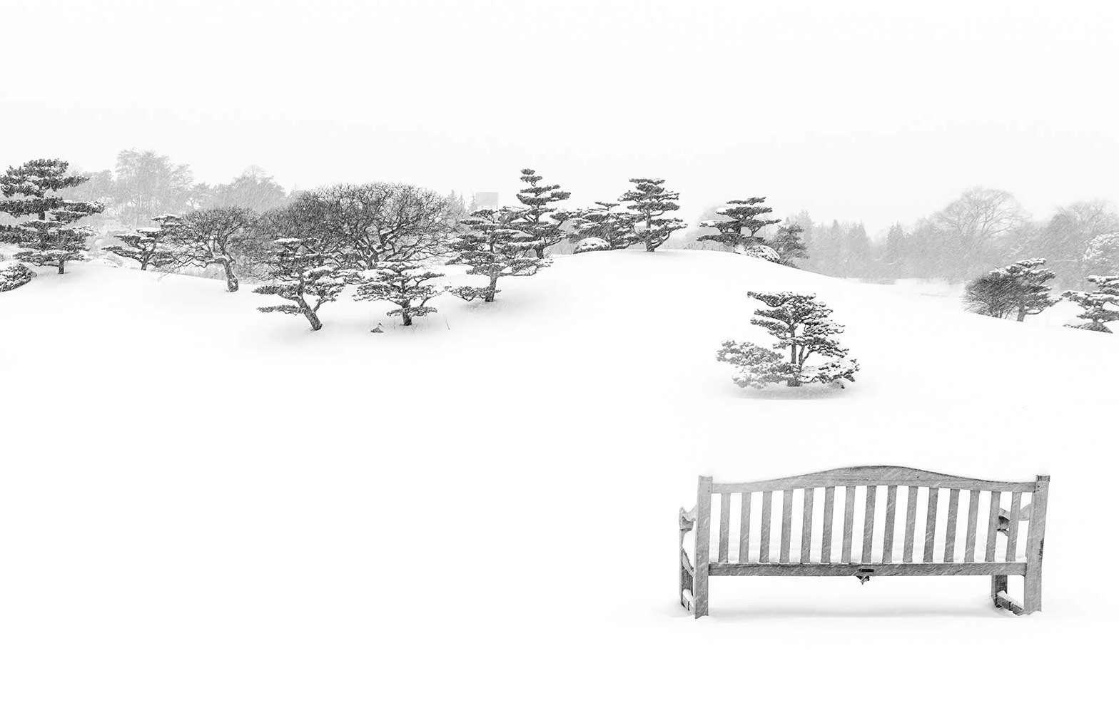 Out Of Chicago: Winter Conference 2016 - See Me There!