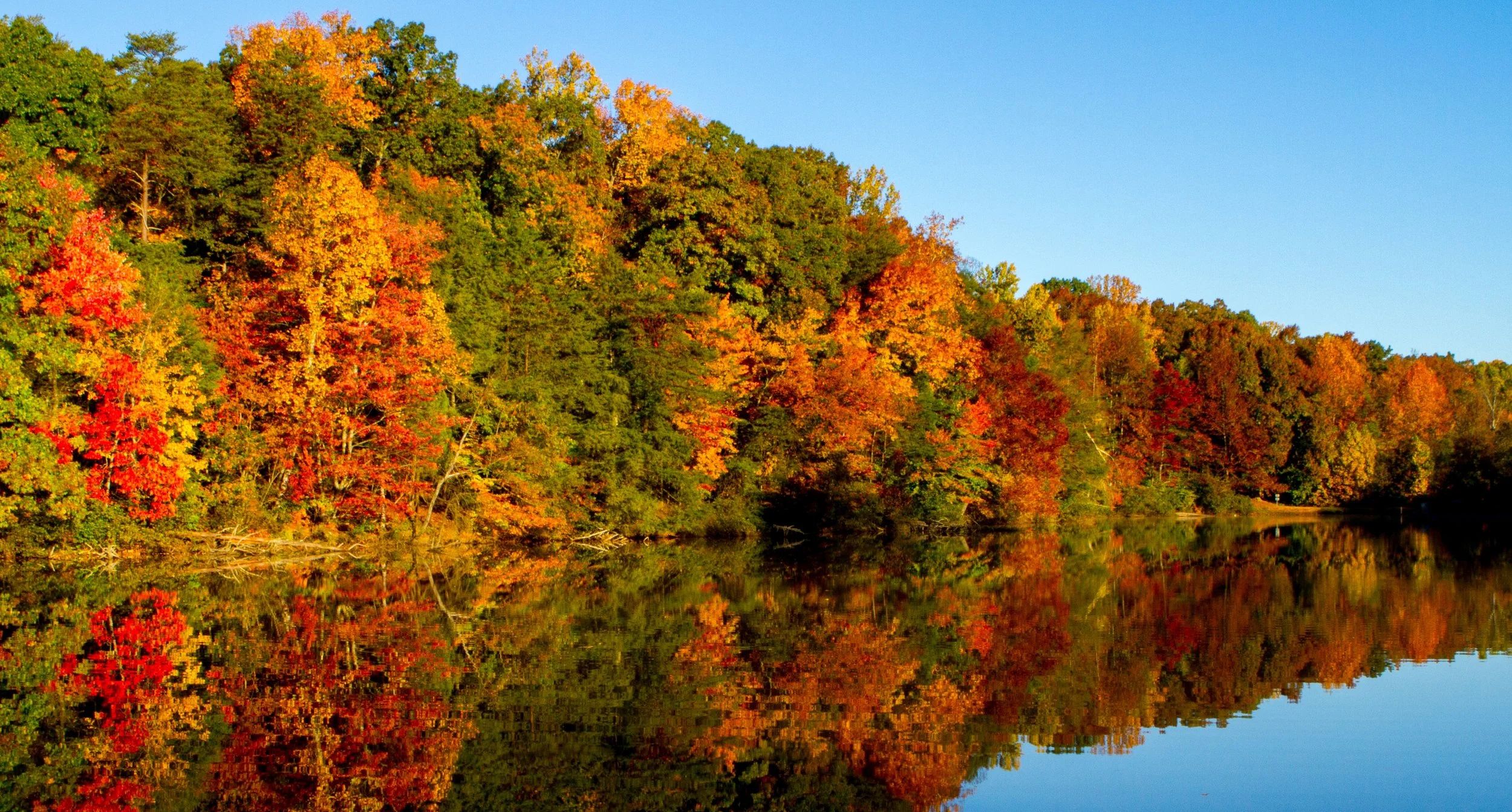 Six Tips for Capturing Great Autumn Images