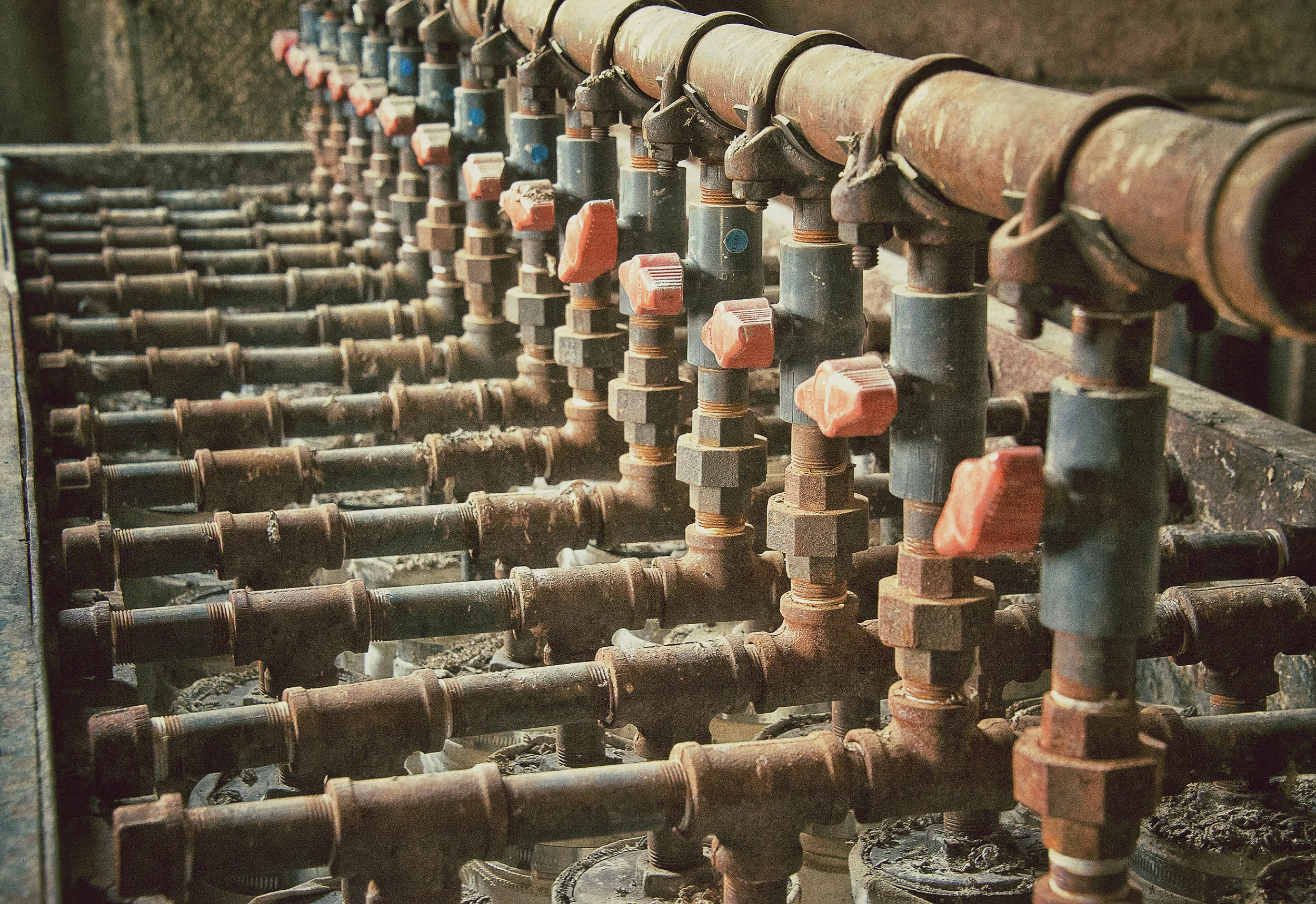 The Importance of Giving Back & Growing Our Photographic Community