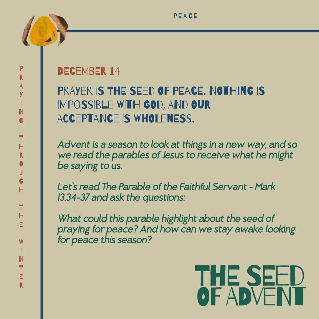dec 14.JPEG