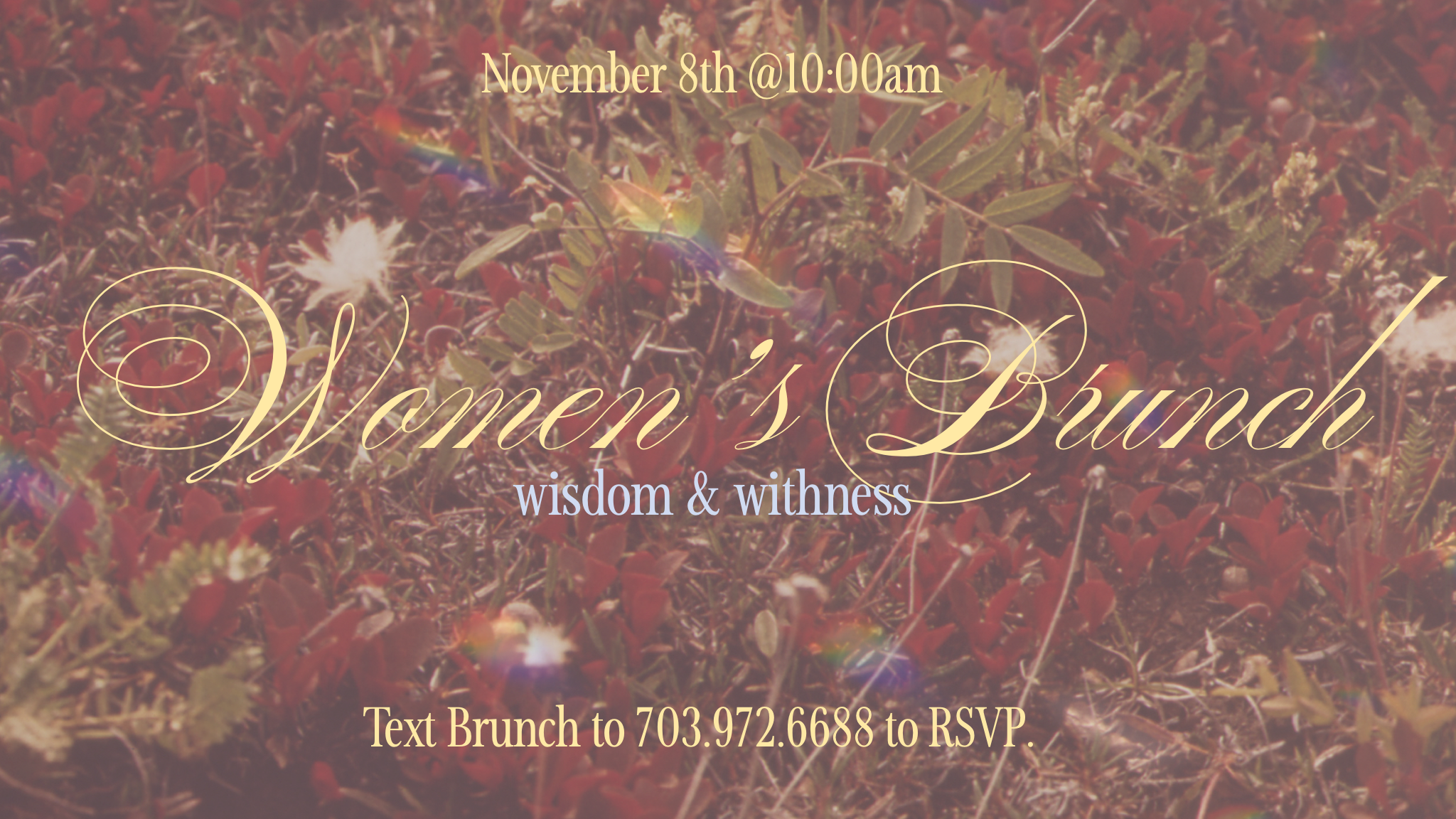 GoDaddyStudioPage-0 205.PNG