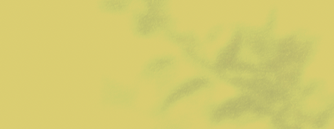 Screenshot 2026-09-01 at 8.41.02 AM.png