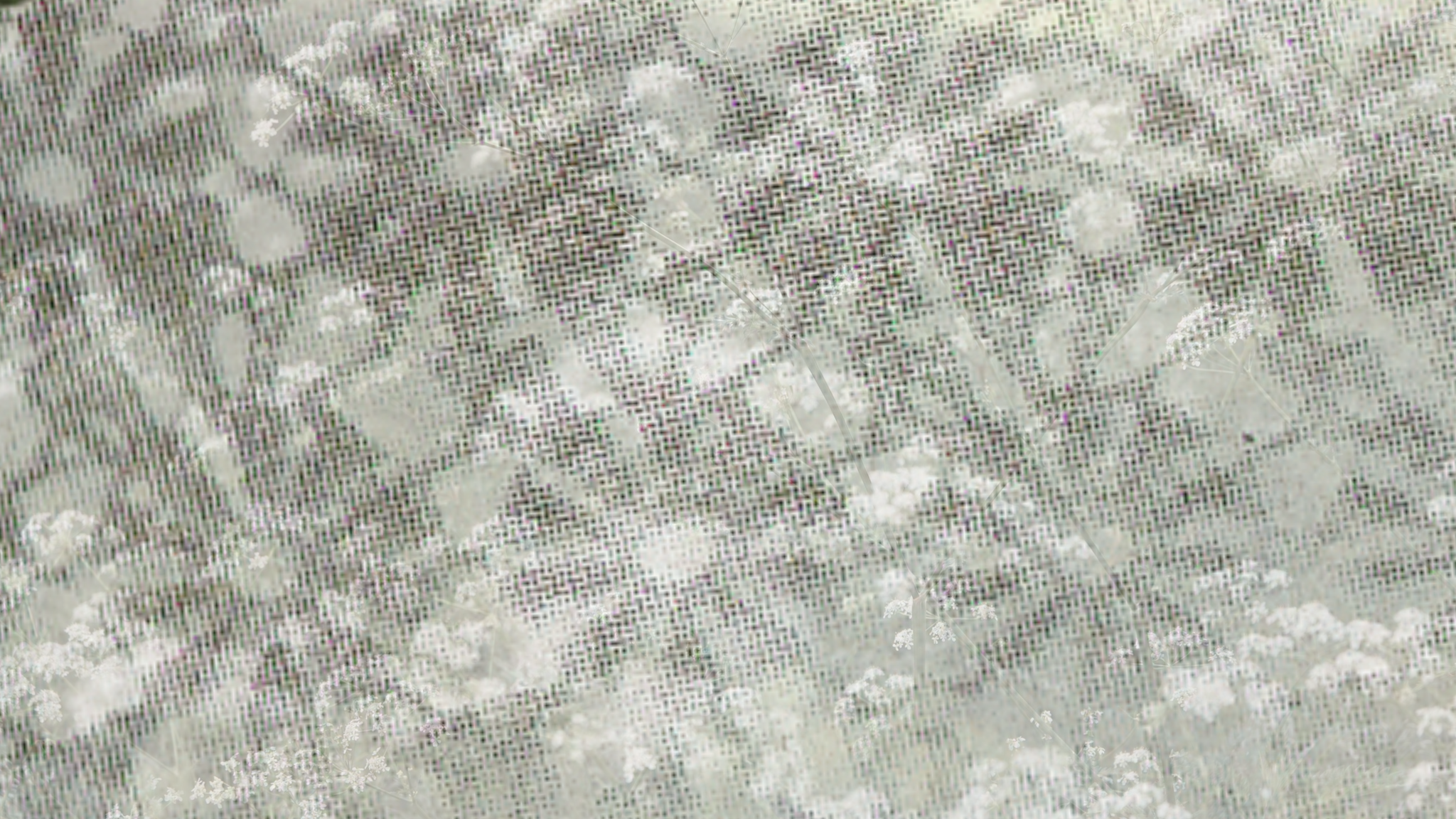 Content-Creator-Project (28).png