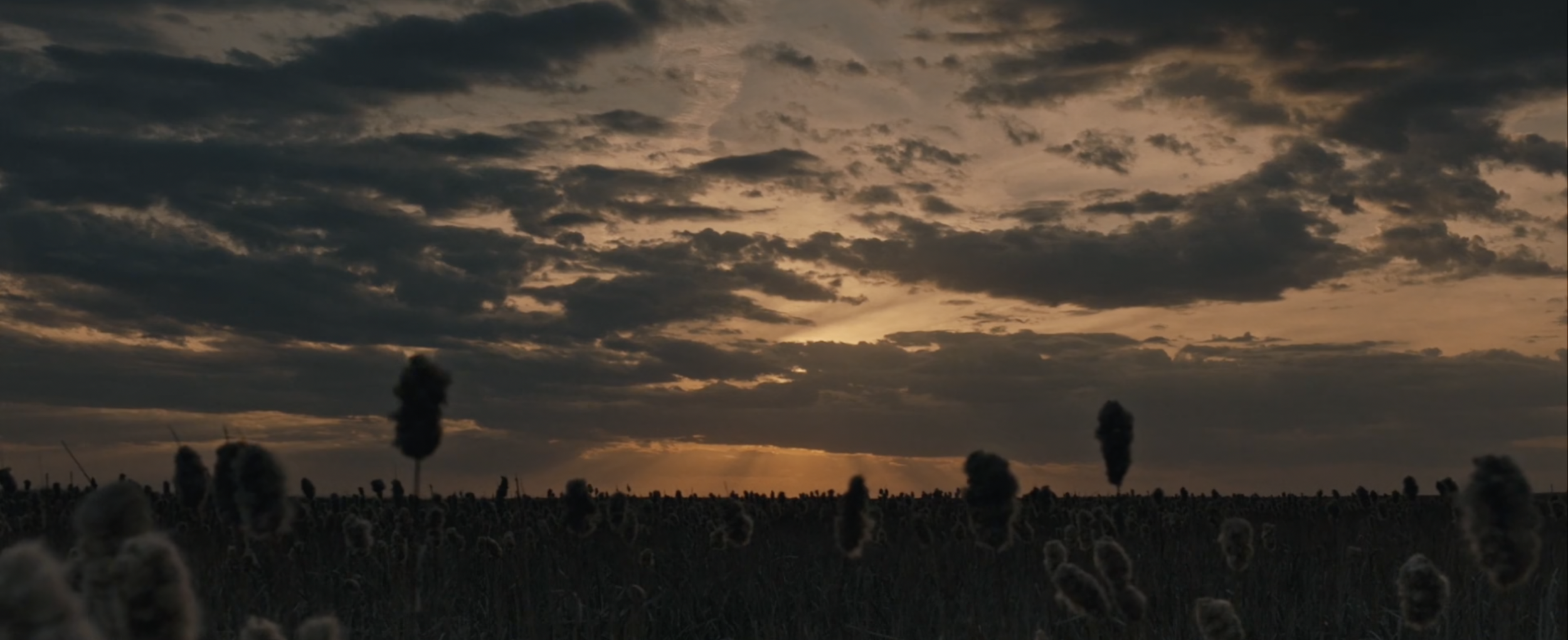 Screen Shot 2022-10-16 at 12.07.49 PM.png