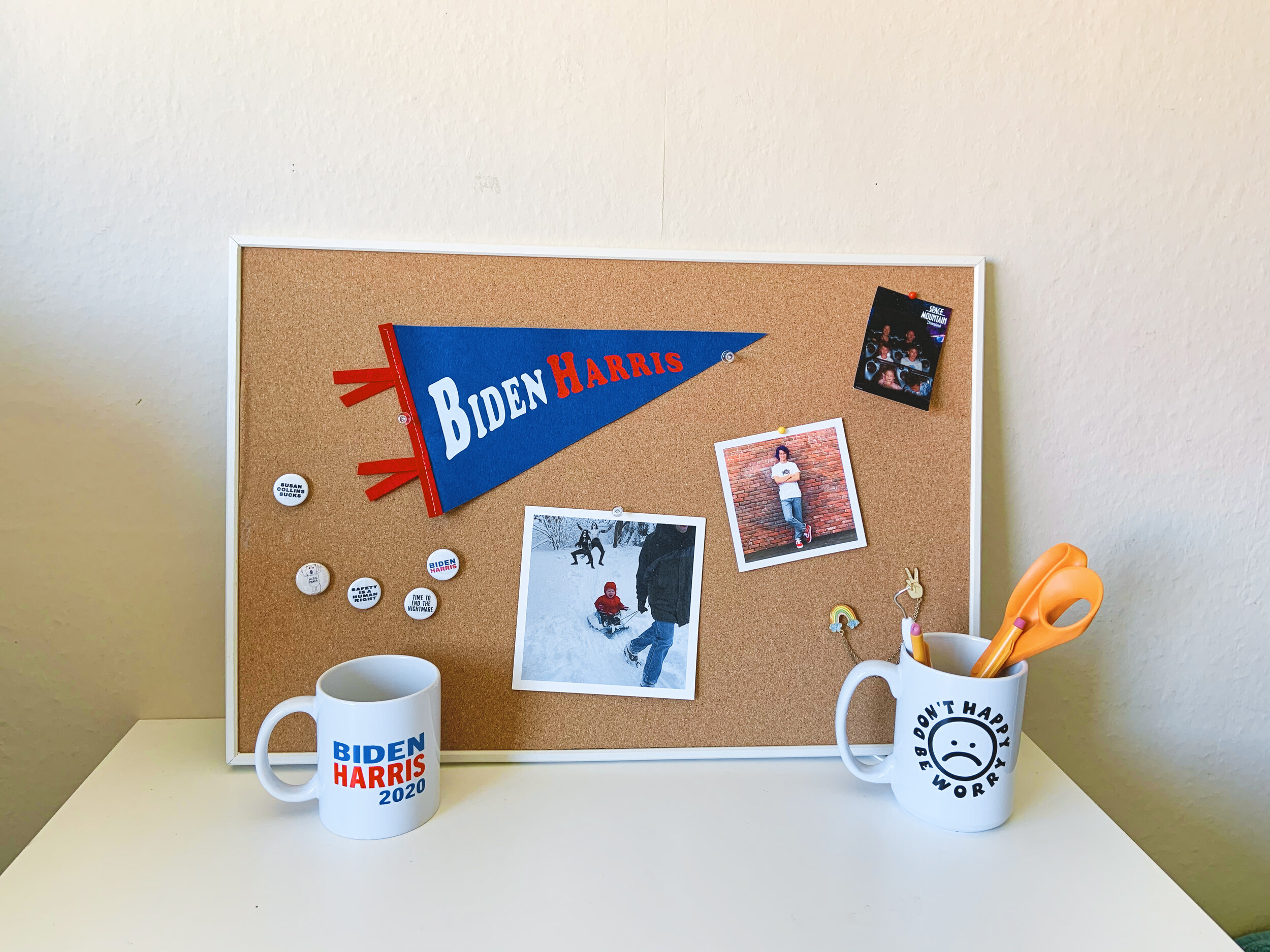 LIMITED EDITION TEAM BIDEN HARRIS MINI PENNANT