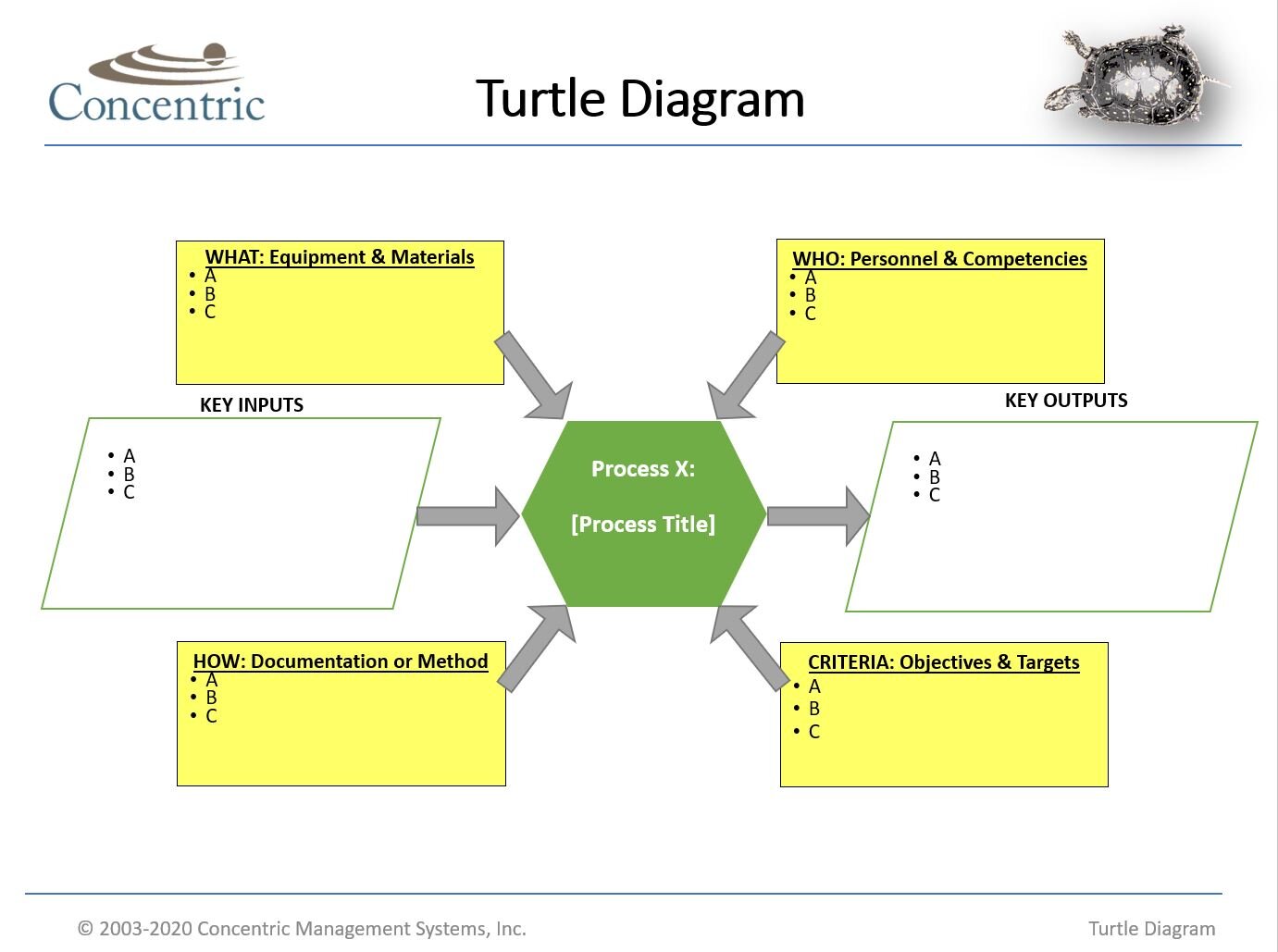 Turtle Chart Template