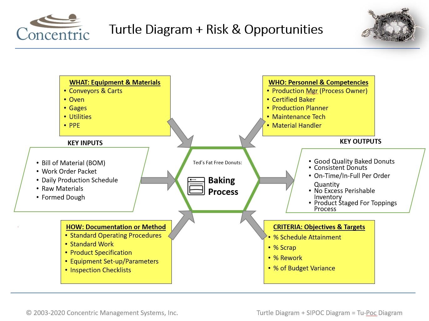 instructions-for-creating-a-turtle-diagram-concentric-global