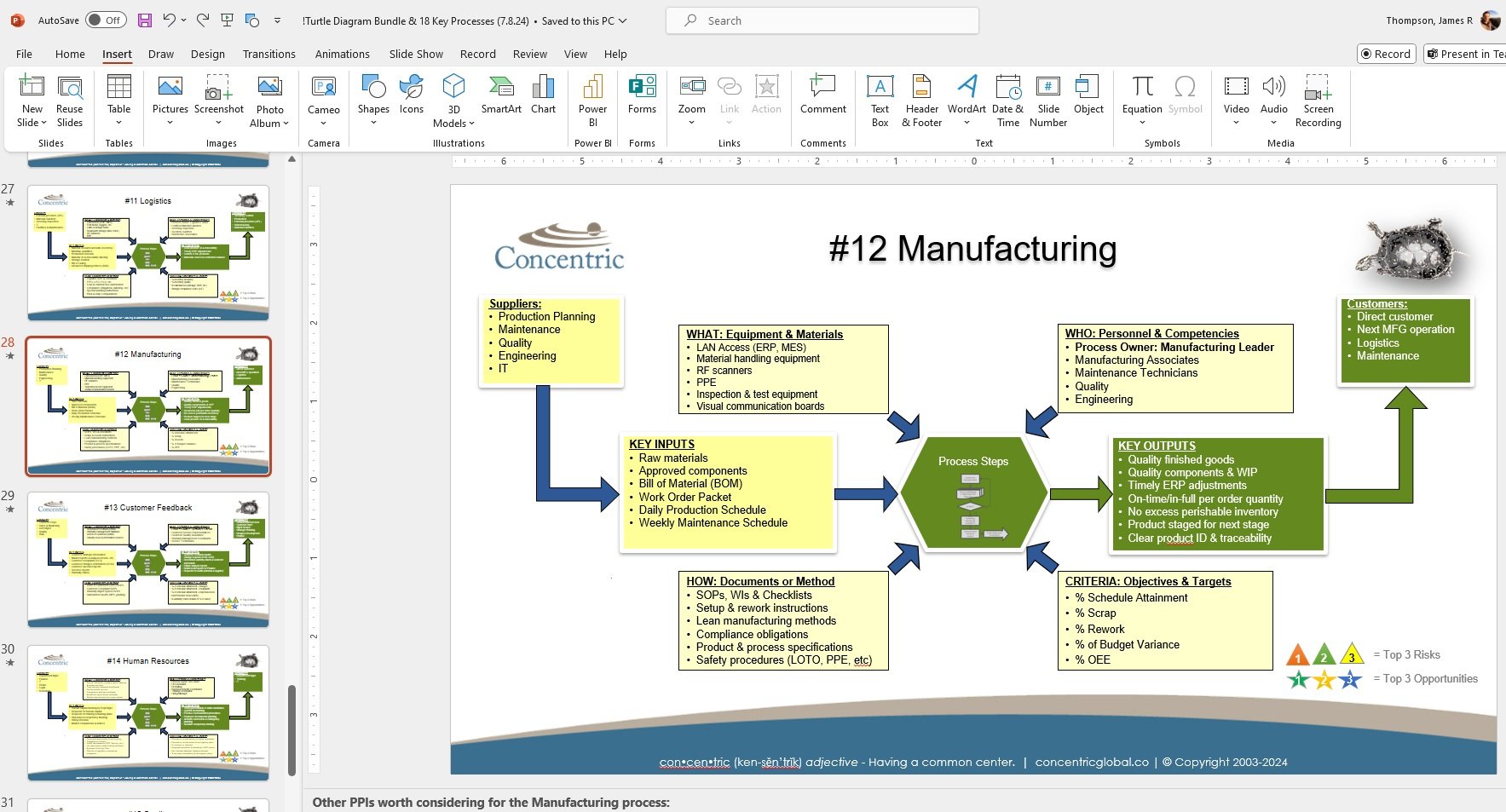 18 Pre-filled Turtle Diagrams + Workshop Slide Deck | Concentric Global