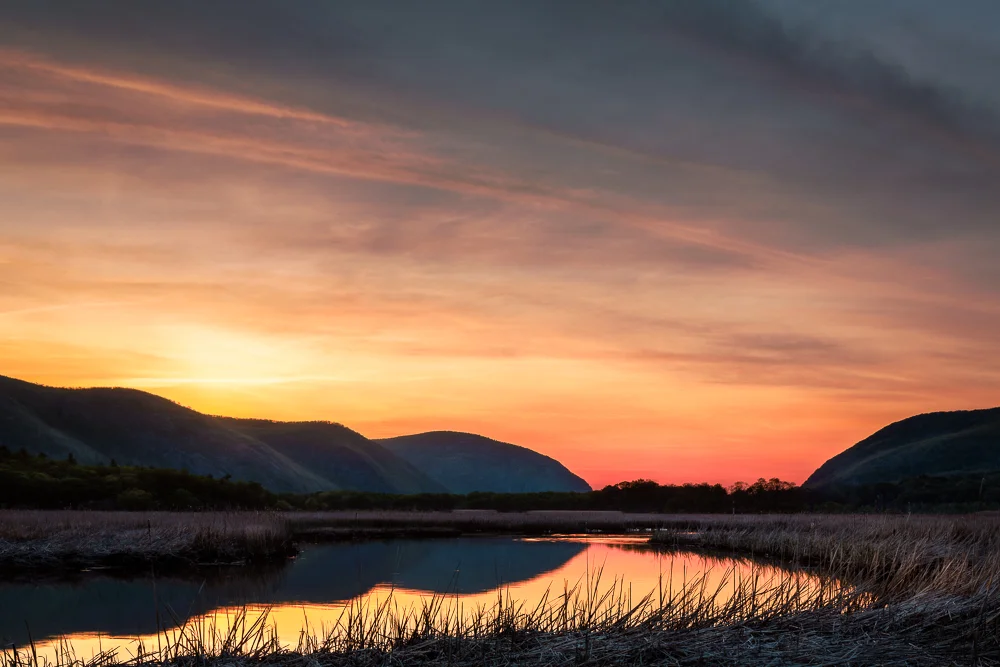 HIGHLAND PASSION | Constitution Marsh Audubon Center and Sanctuary, Garrison, NY