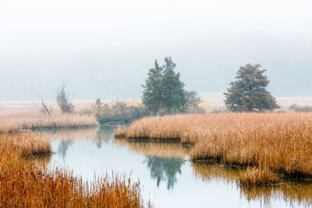 MORNING DREAMS | Iona Island, Stony Point, NY