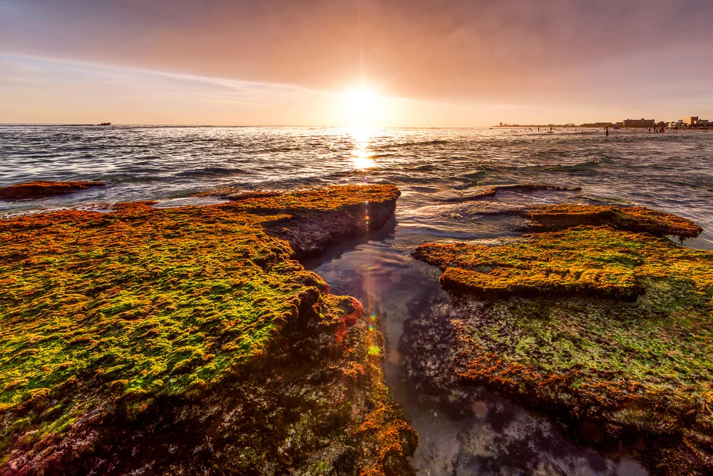 POINTS OF ROCK | Siesta Key, FL