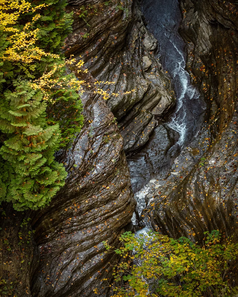 GORGE TEXTURES | Watkins Glen, NY