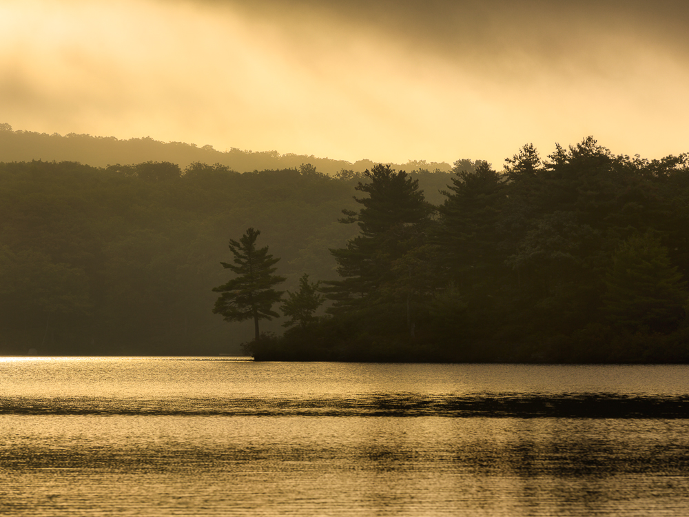 GOLDEN RADIANCE | Lake Tiorati, Harriman State Park