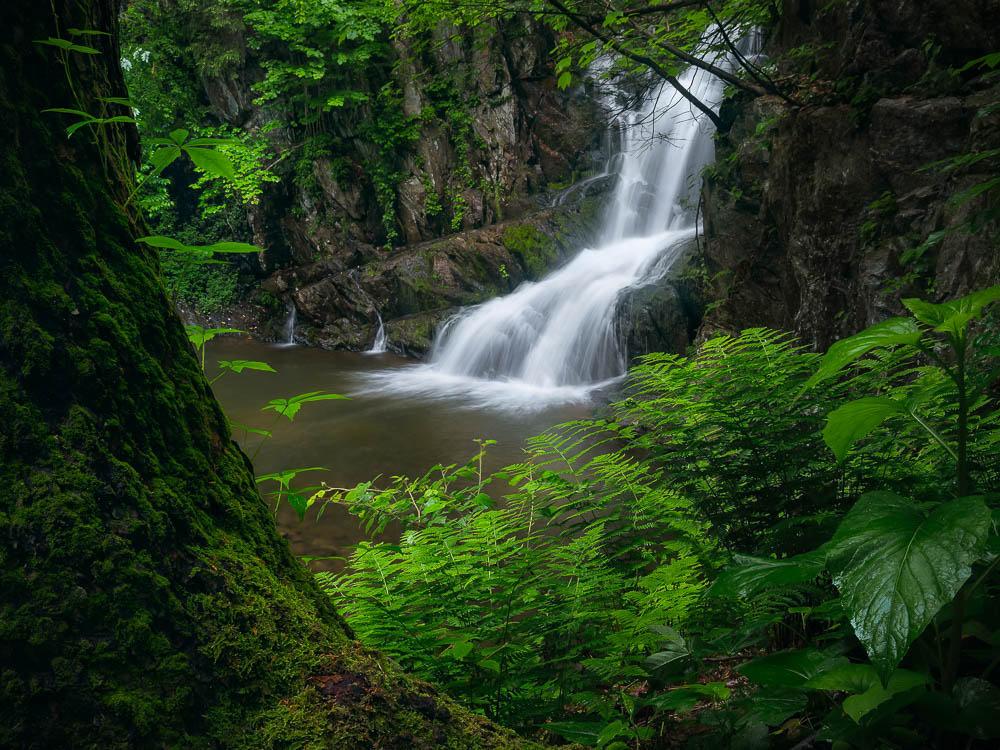 NIRVANA | Indian Brook Falls, Garrison, NY