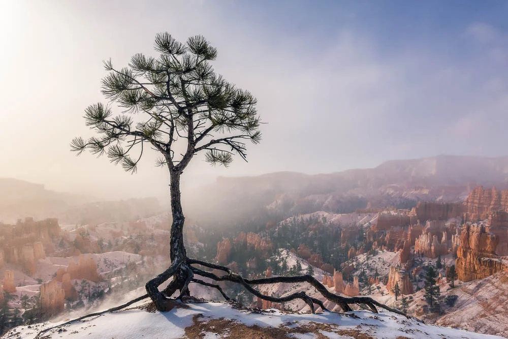 MORNING ENCHANTMENT | Bryce Canyon NP, UT