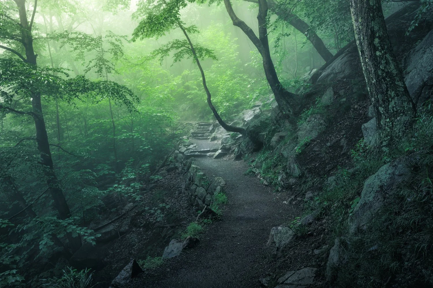 Bear Mountain State Park | Bear Mountain, NY | Spring 2022