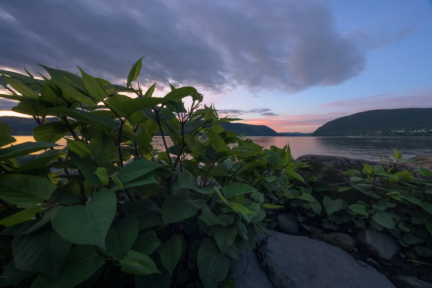 Plum Point Park | New Windsor, NY | Spring 2024