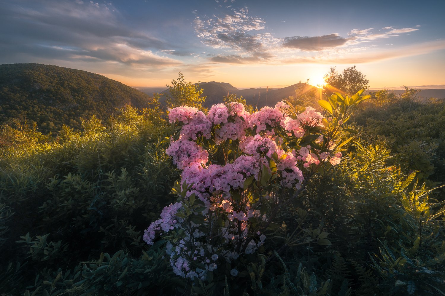Crows Nest Mountain | Town of Highlands | Spring 2020