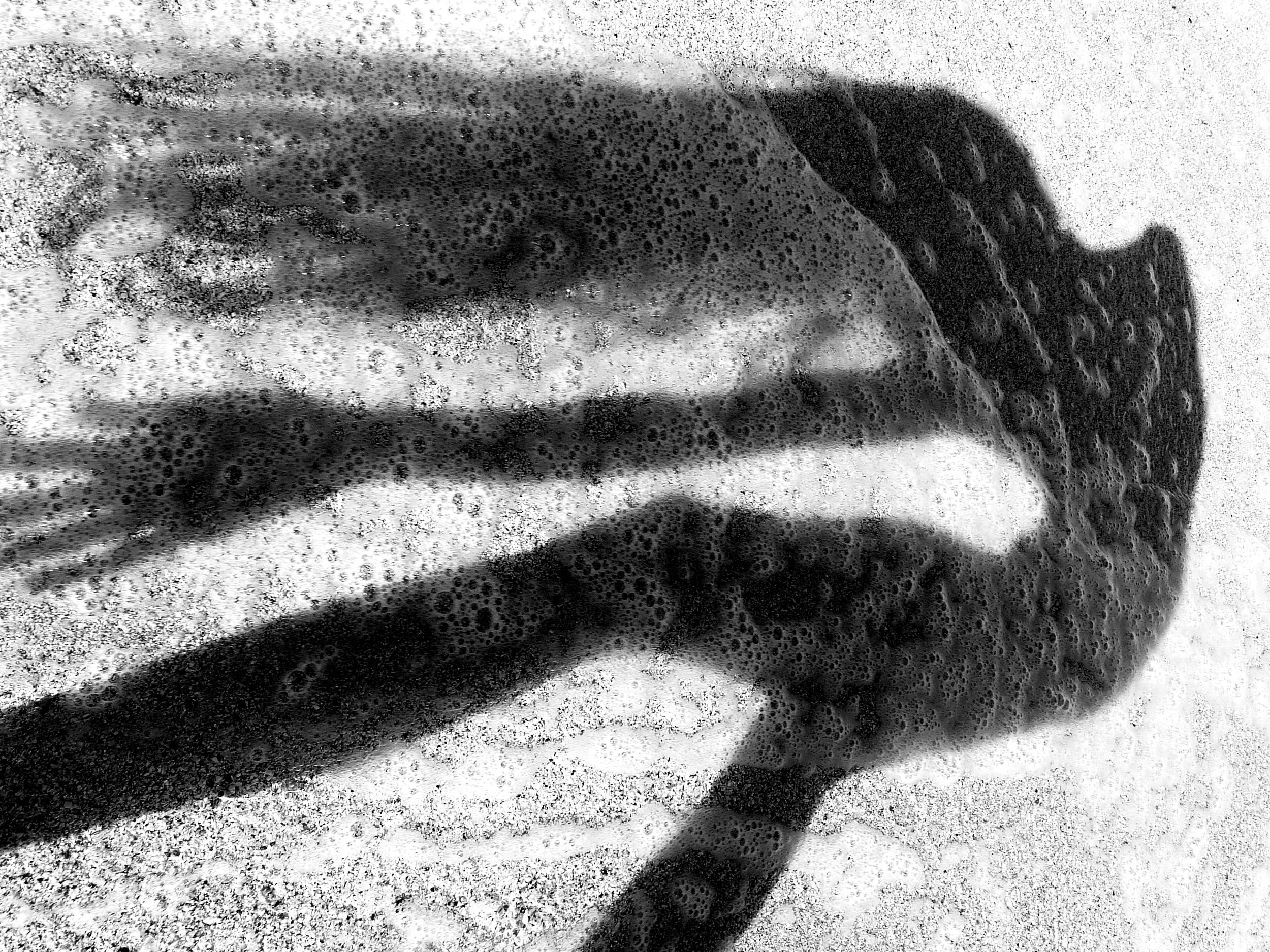 Exposition ART4 à La Poissonne-Rie, Nantes, FRANCE