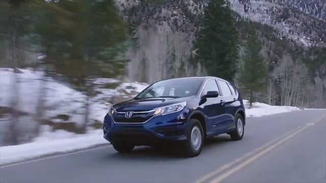 Honda | Polar Bears