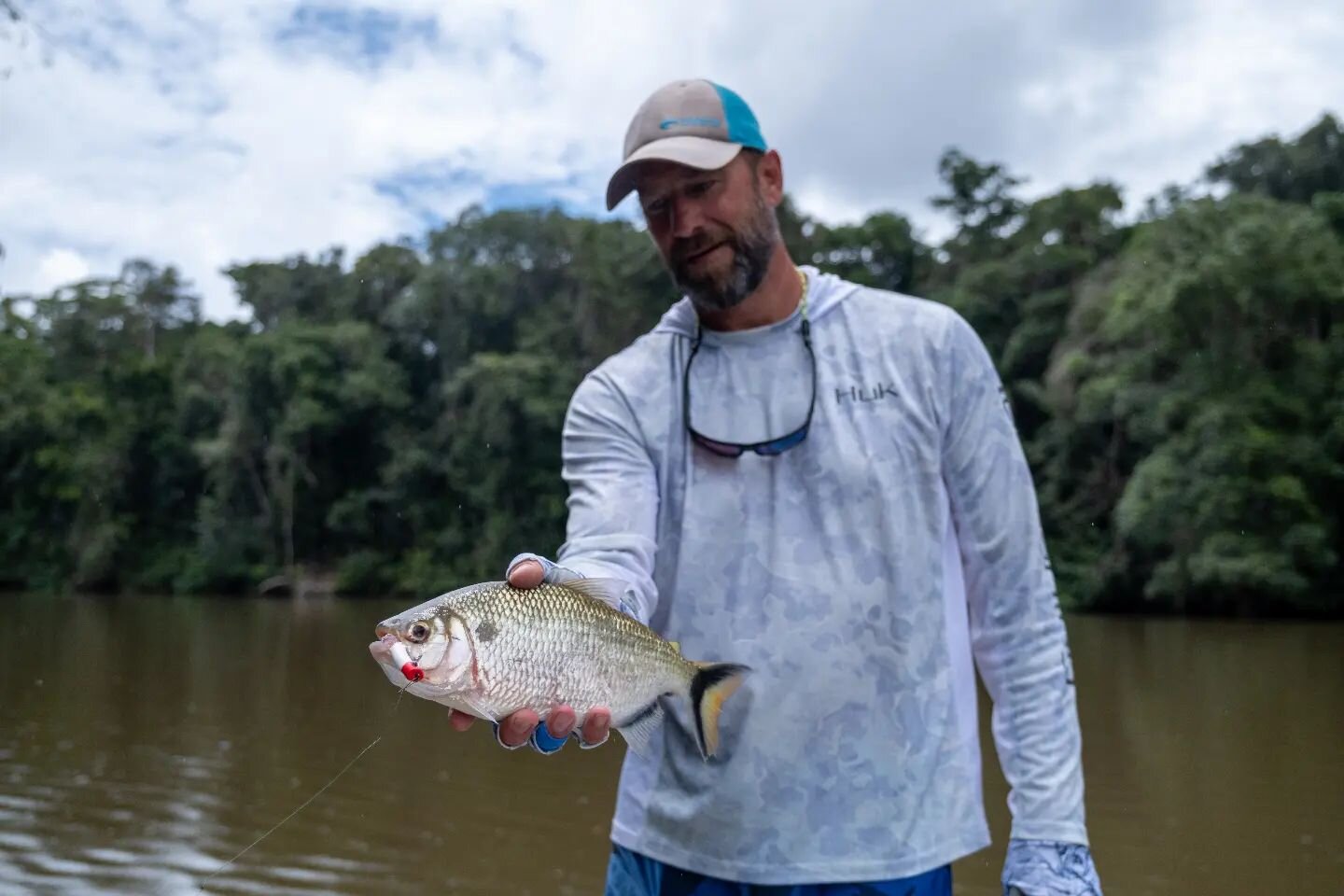 - CAN YOU NAME THIS LITTLE GUY? -
They are great fun on topwater and fight hard for their size..

&bull;
#payara #rapids #jungle #westopfish #therodyouwilleventuallyown  #freedompersonified  #flyfishingaddict #flyguide #westopfish #seewhatsouthere  #