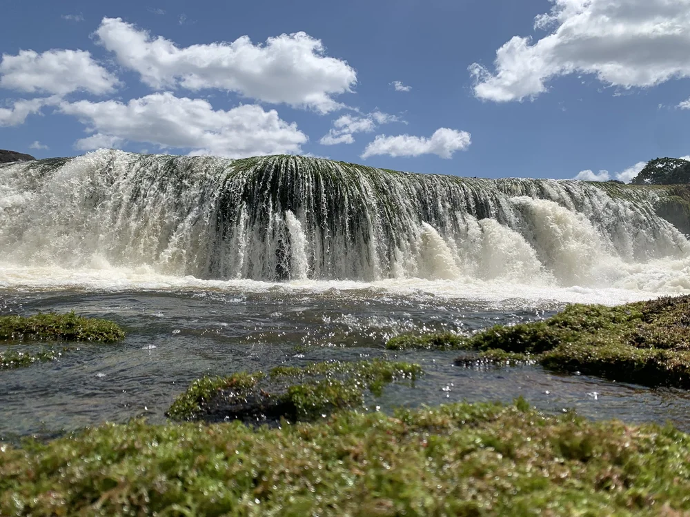 8 Days Adventure Upper Amazon Tour: Explore Untamed Wilderness