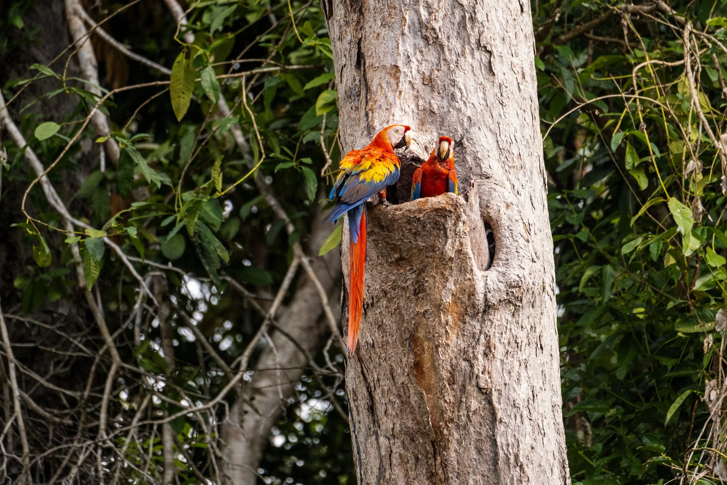 JdP Rewa 8-13 Feb 2025-39.jpg