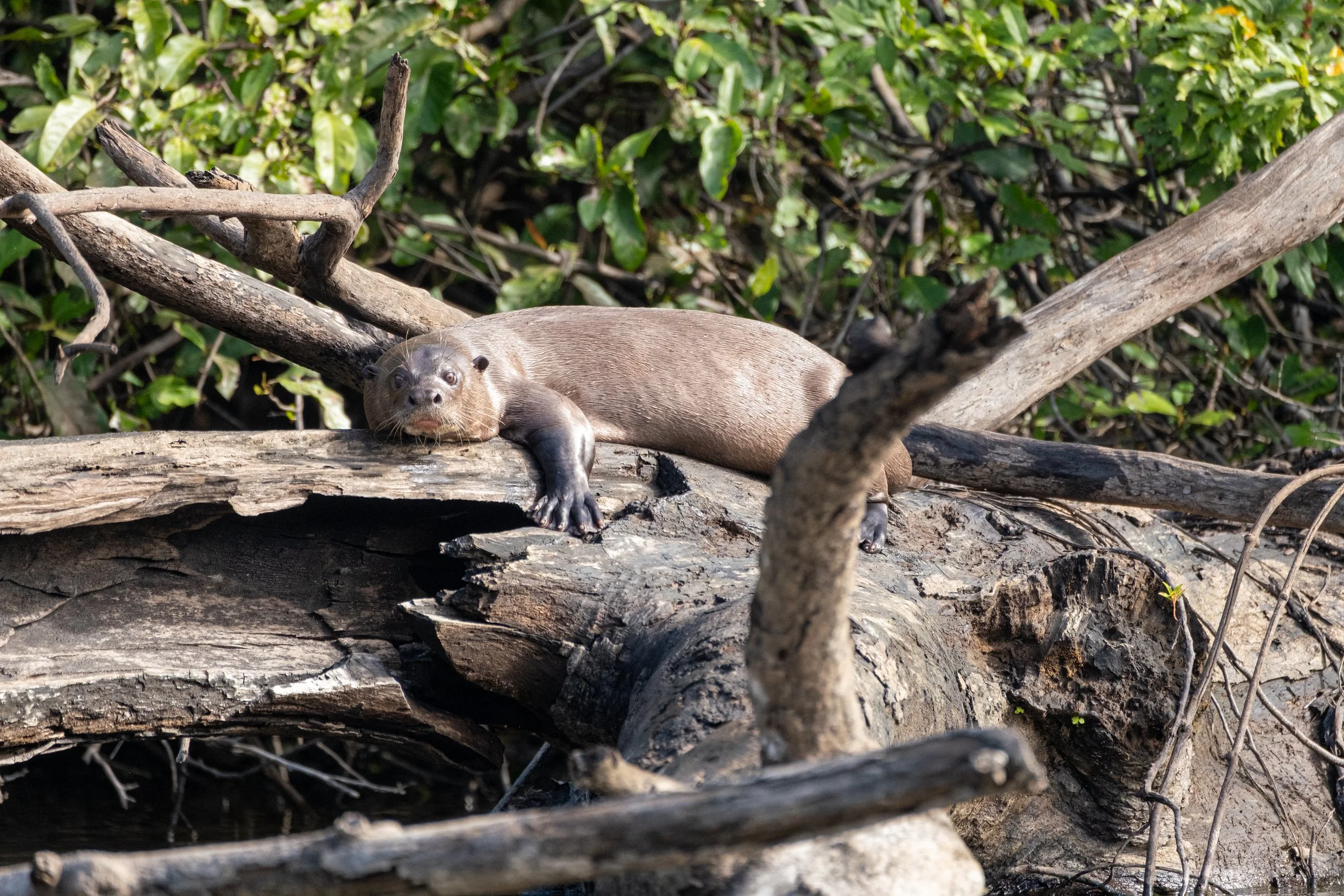 JdP Rewa 8-13 Feb 2025-18.jpg