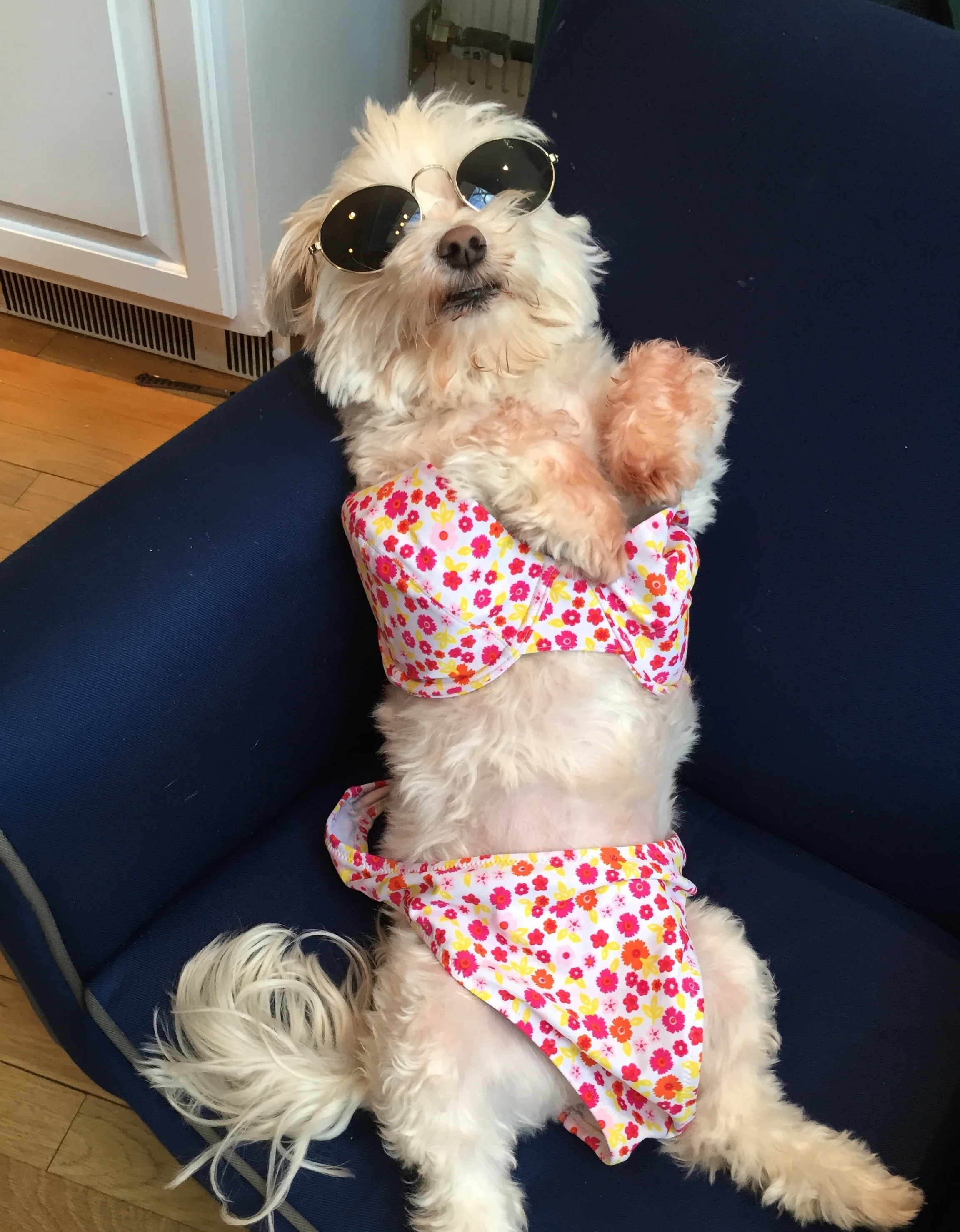 WHY YOU SHOULD WEAR A BIKINI INTO YOUR 60s