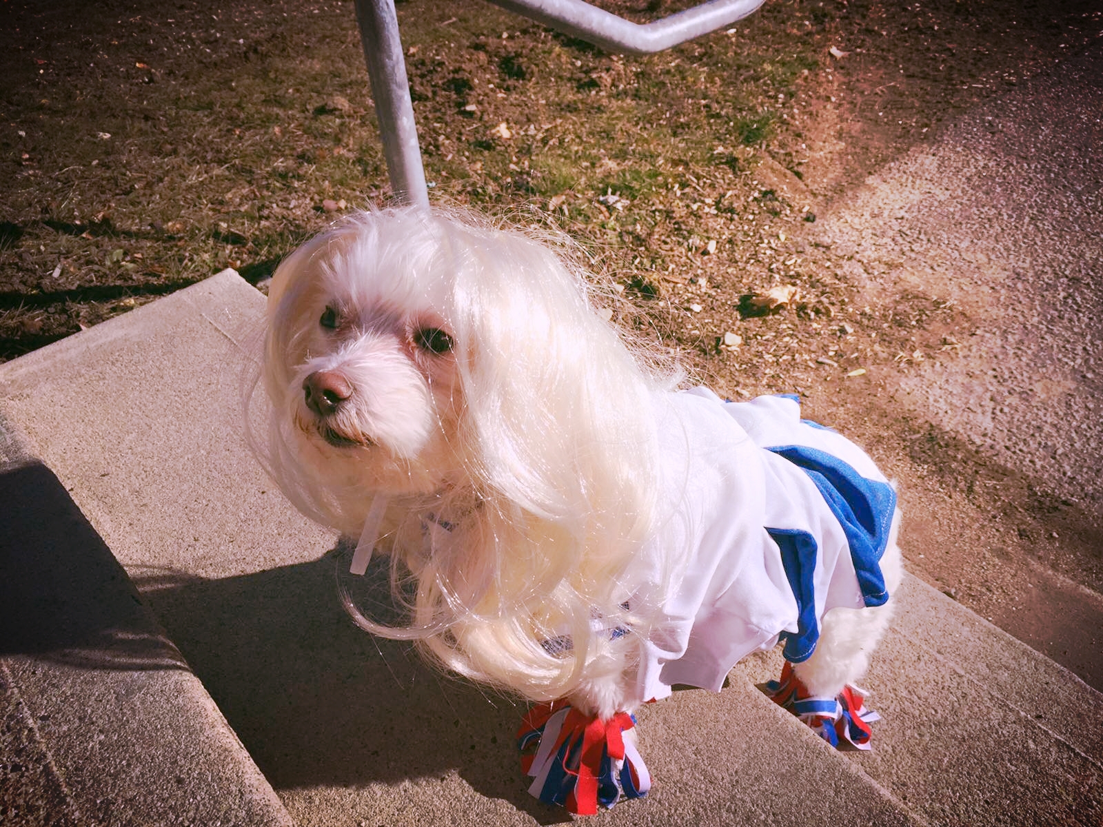 ROLE MODELS VS. RUNWAY MODELS