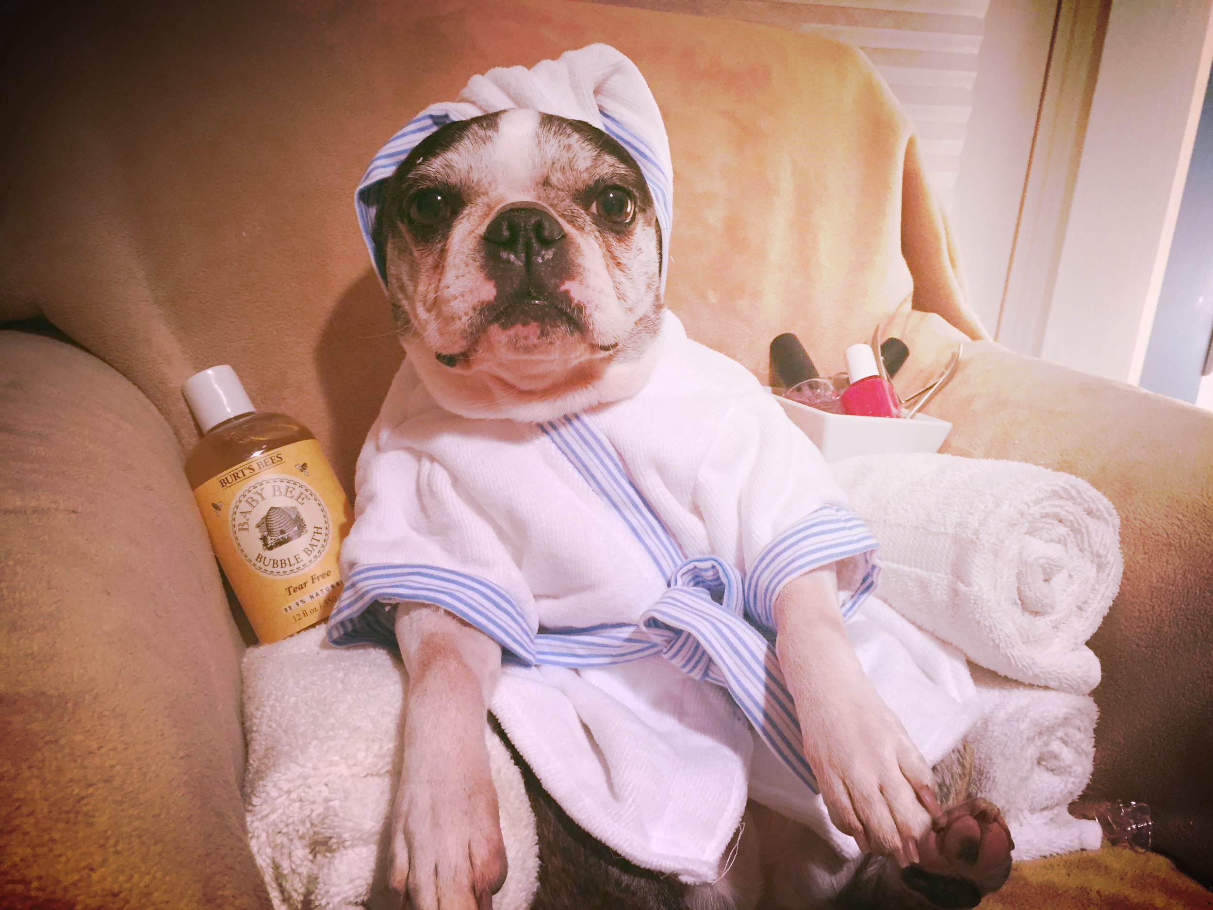 DISASTER AT THE SPA   (A/K/A AN UNEXPECTED VISIT FROM EURUS)