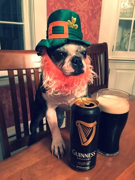 MY EMERALD ISLE ADVENTURES (DEATH-DEFYING PRECIPICES, THOROUGHBREDS, & IRISH CHURCH LADIES)