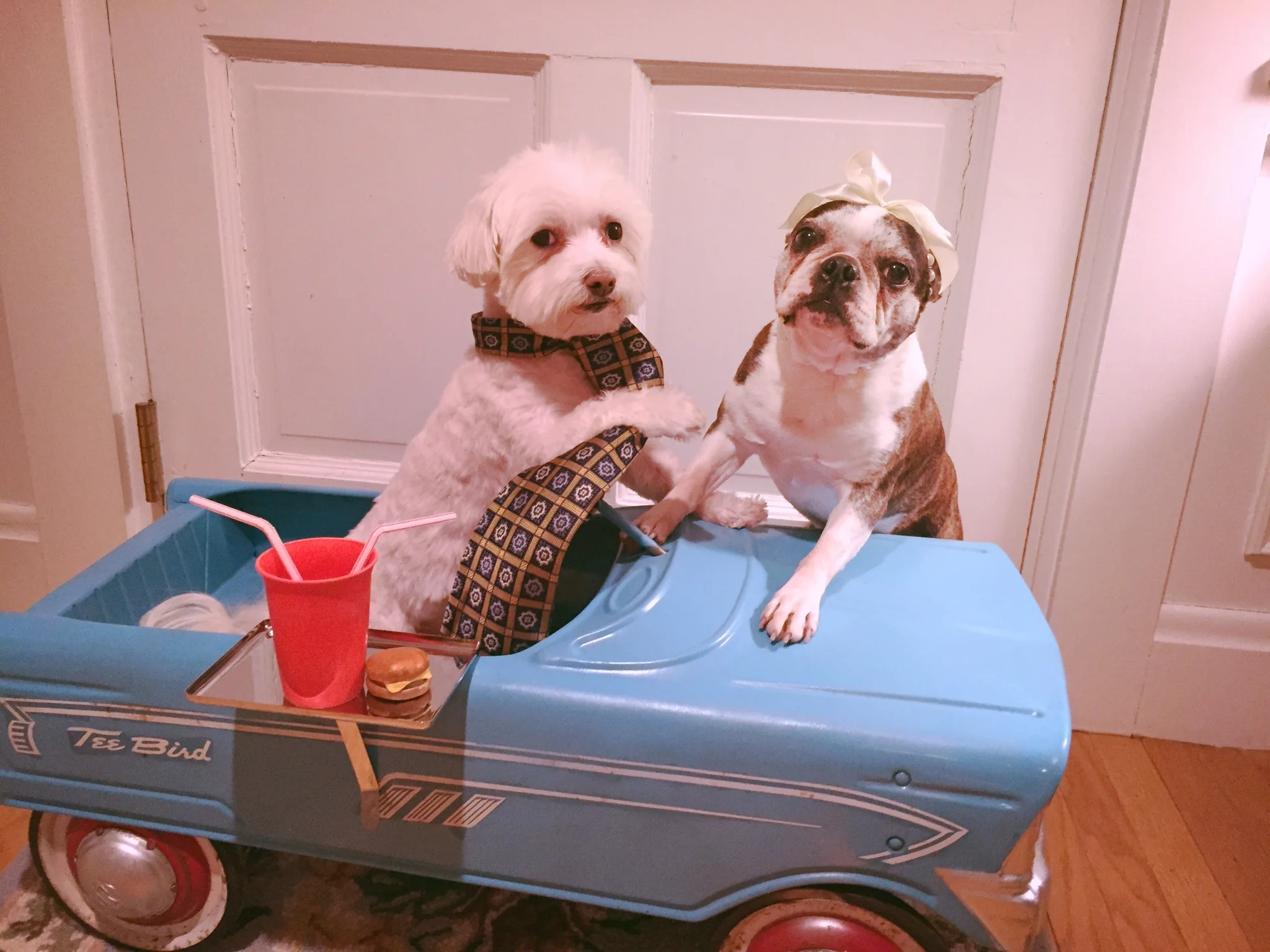 WHY YOU NEVER FORGET YOUR FIRST LOVE