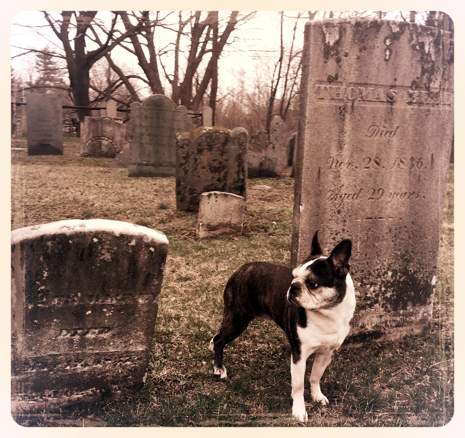 WHY YOU SHOULD WRITE YOUR OWN EULOGY