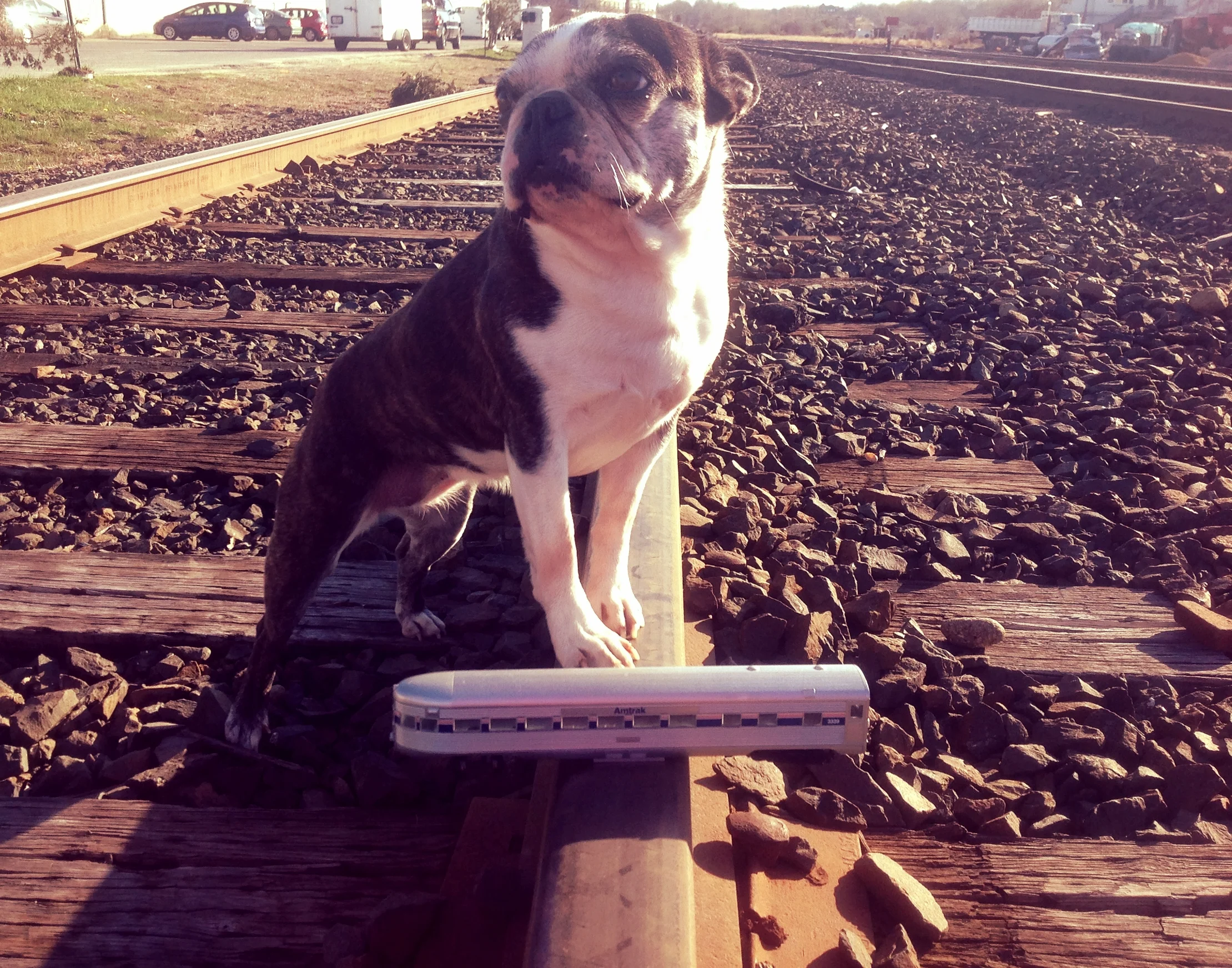 RIDING THE RAILS - UNDERCOVER