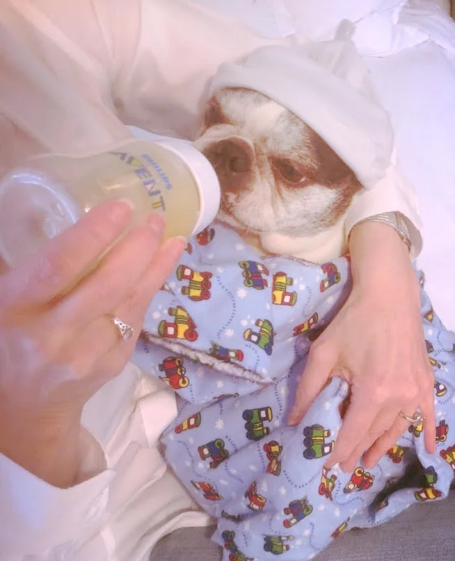 THE 7 THINGS I WISH I COULD HAVE TOLD MY NEW-MOM SELF