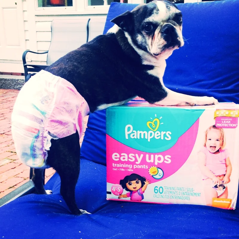 OUTDOOR POTTY TRAINING