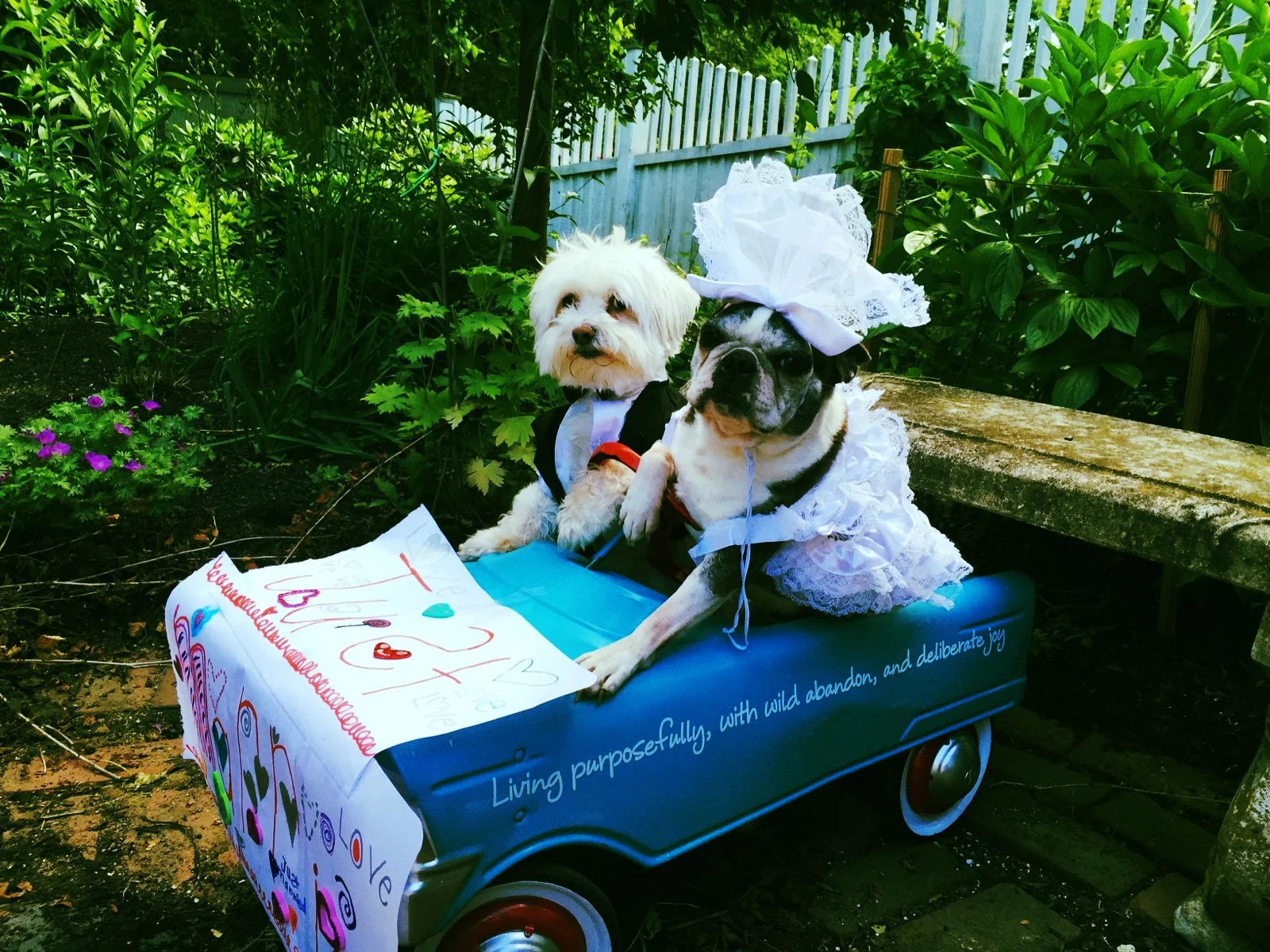 THE MYSTERY OF THE ROGUE WEDDING DRESS