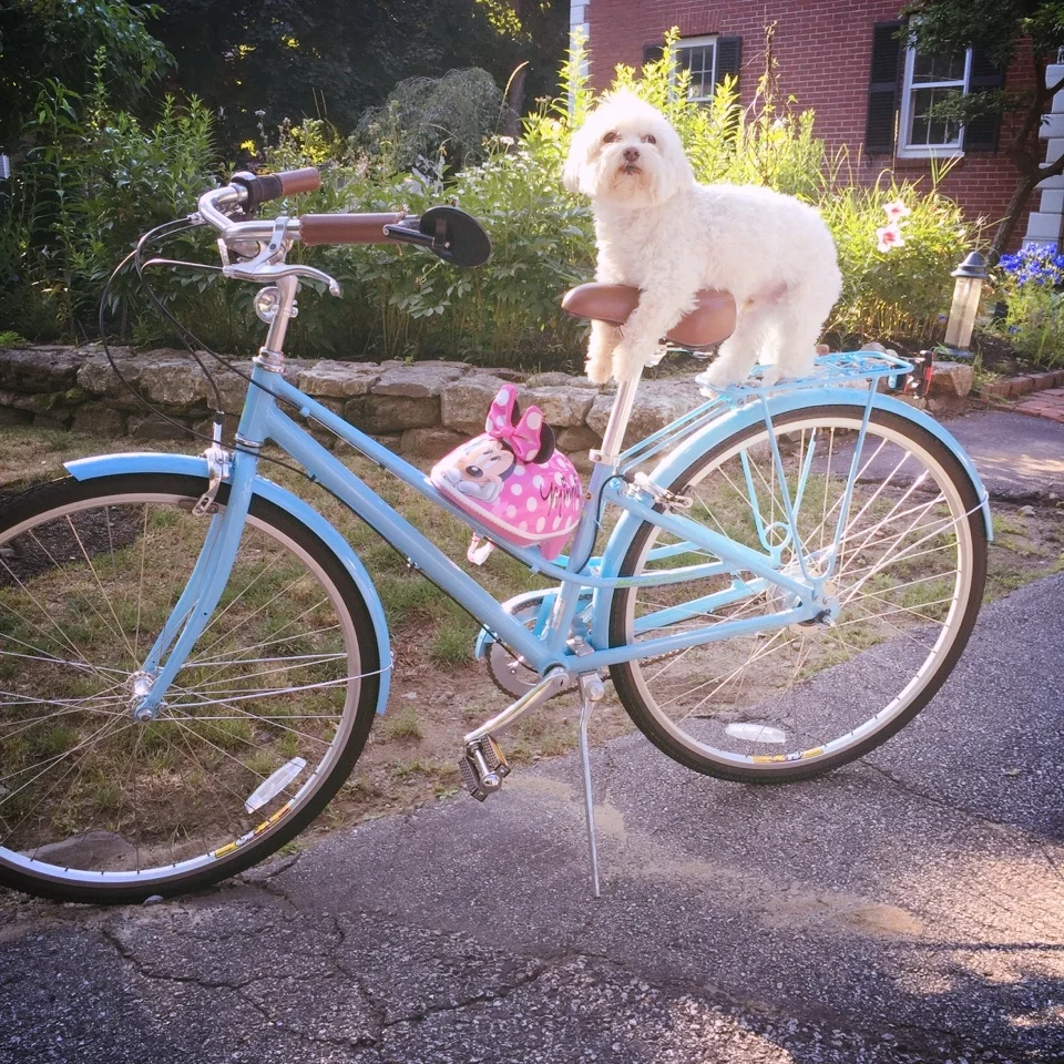 WHAT MY NEW BIKE & PORNOGRAPHY HAVE IN COMMON