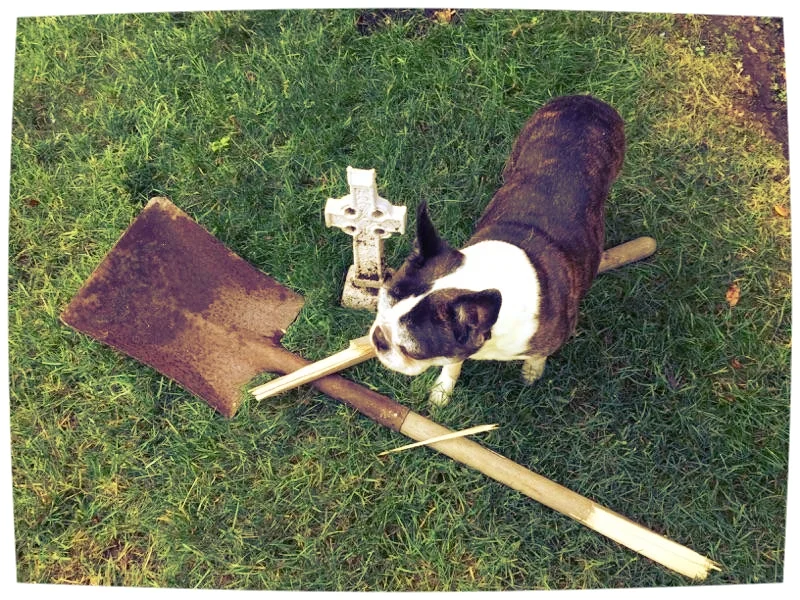 SAYING A FINAL GOODBYE TO MY FATHER-IN-LAW