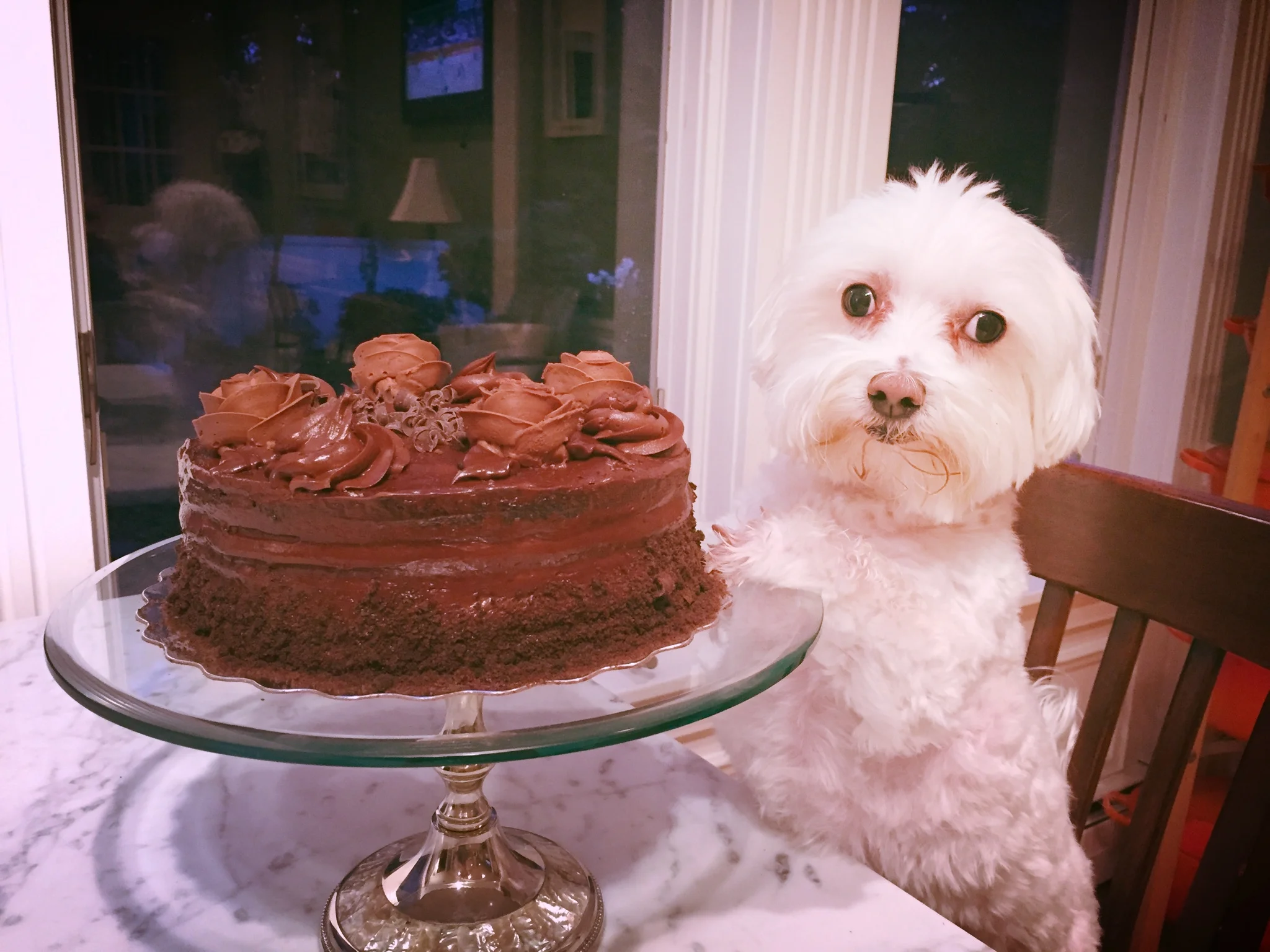 SISTERS- THANK GOD FOR THE MUFFIN TIN!!