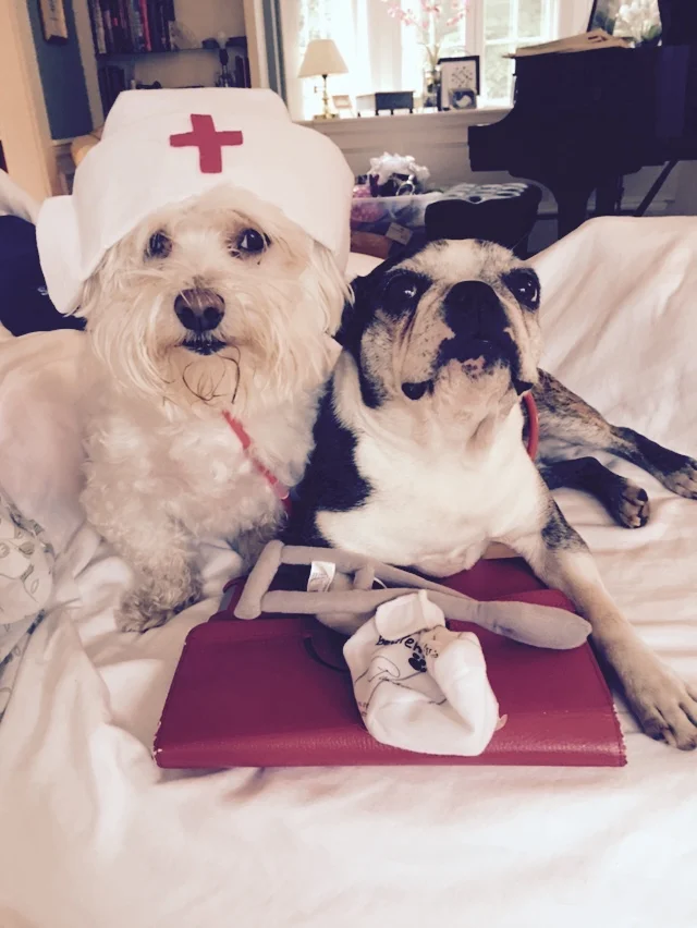 TIMBER!!! MY EXCELLENT FALLING ADVENTURE WITH MY GRANDBABY IN MY ARMS