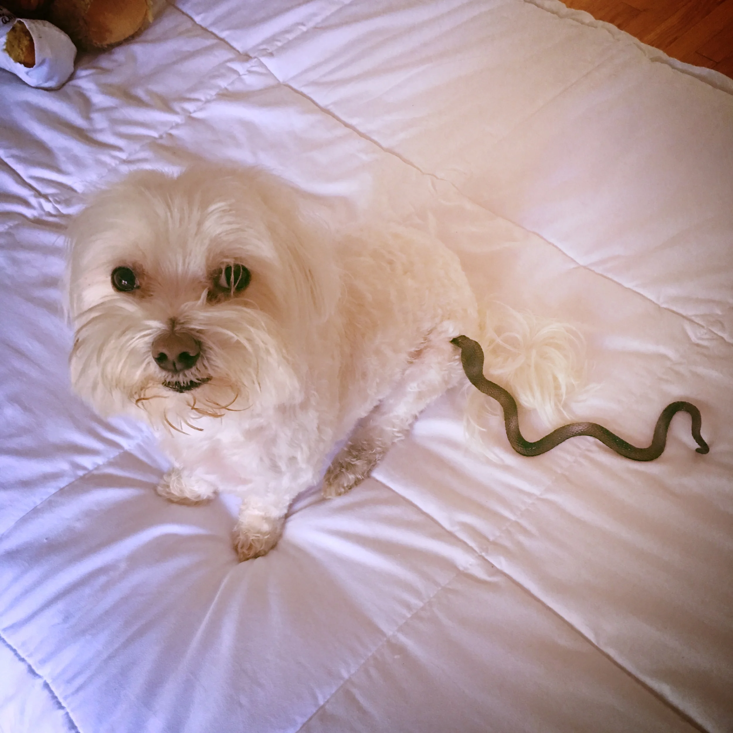 THE 3 THINGS I'VE LEARNED FROM LIFE WITH A SHATTERED LEG