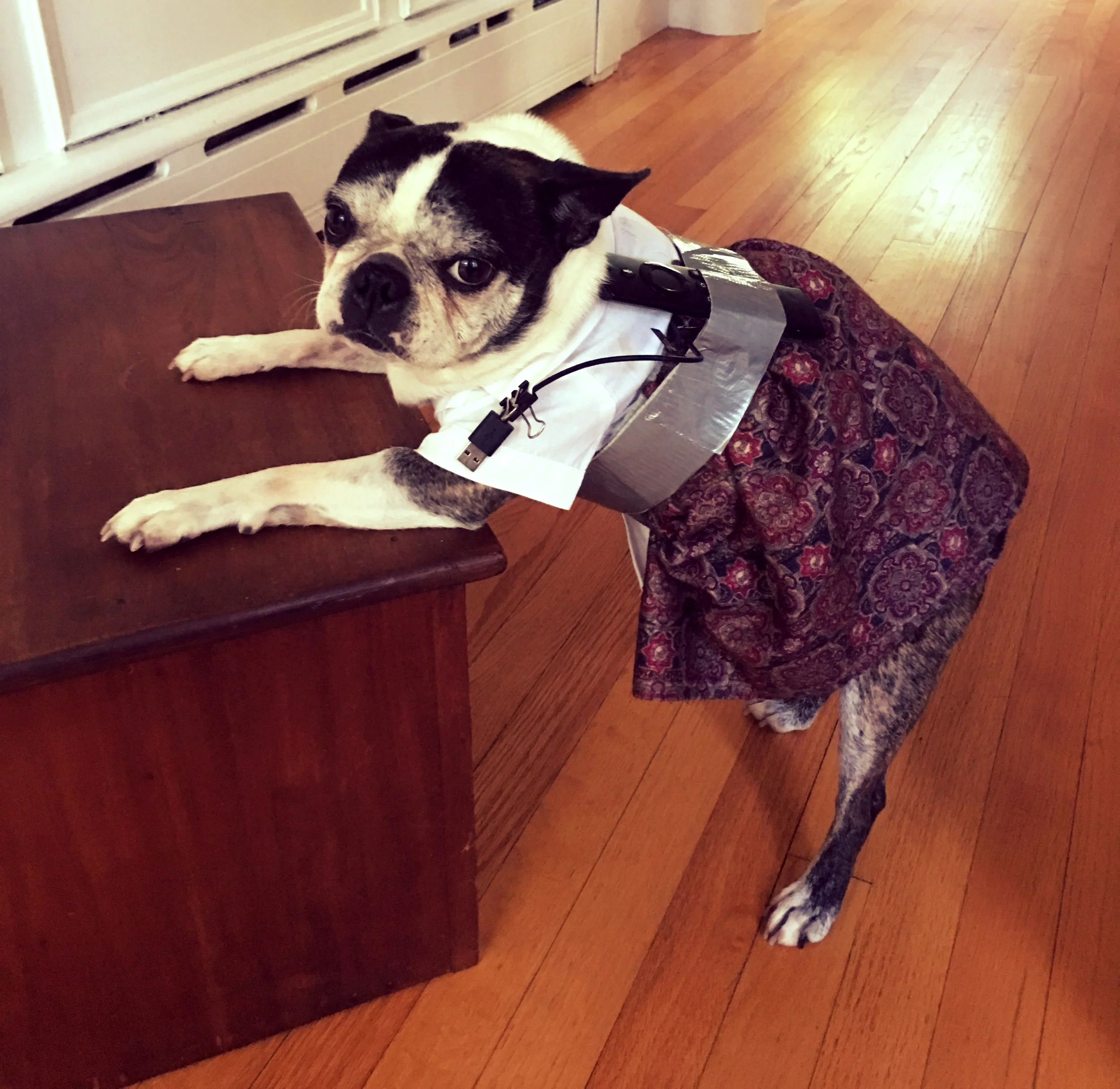 OLE!! MY LIFE AS A PUBLIC SPEAKER