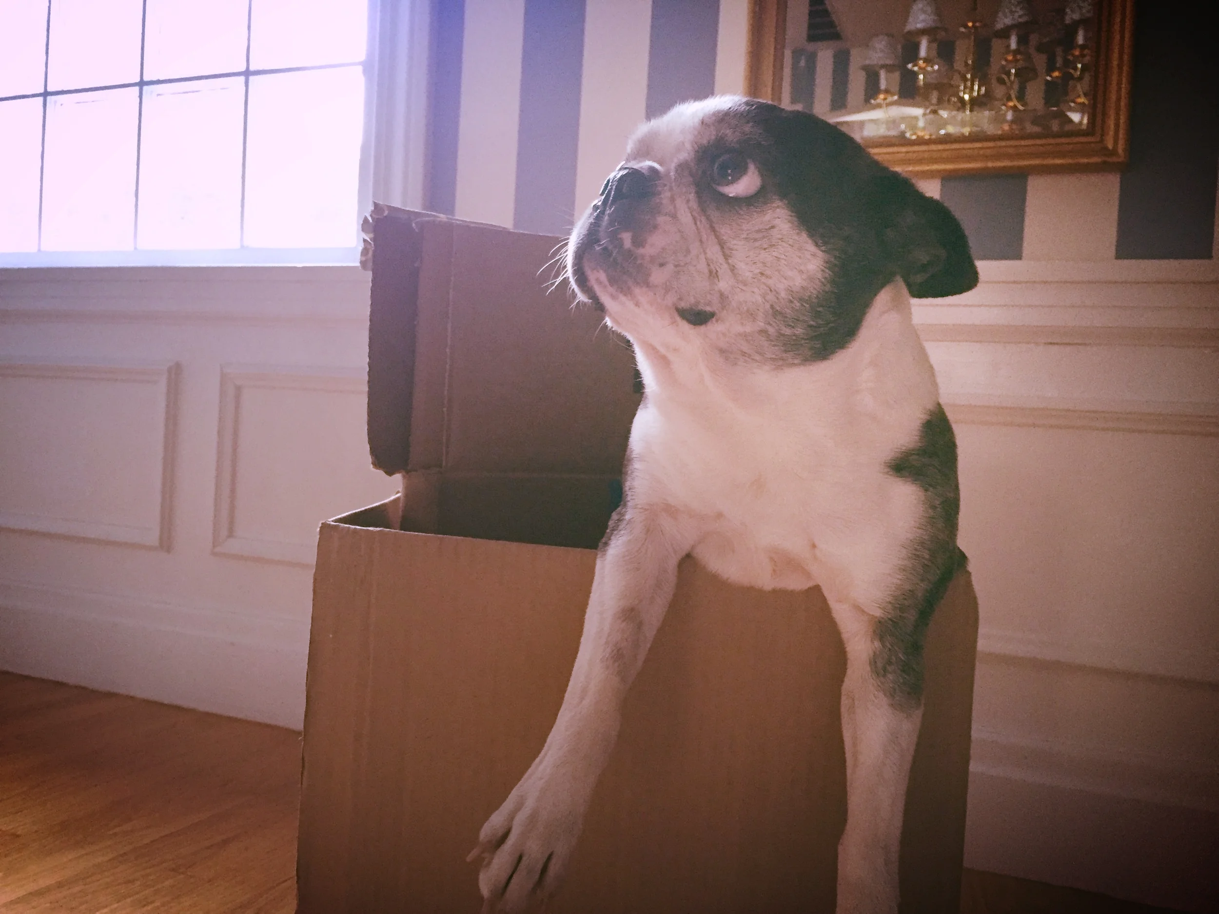 The 3 Most Important Words in Real Estate: Neighbors, Neighbors, Neighbors!