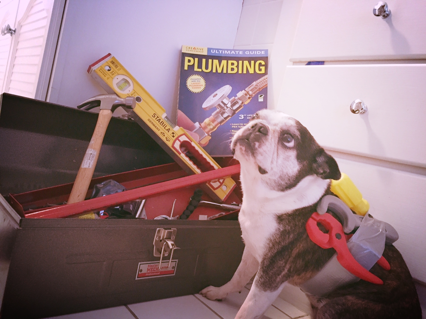 DIY PROJECTS GONE AWRY