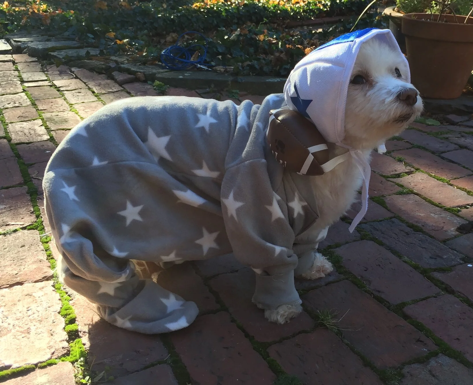 WHY EVERYONE SHOULD WEAR A ONESIE ON THANKSGIVING